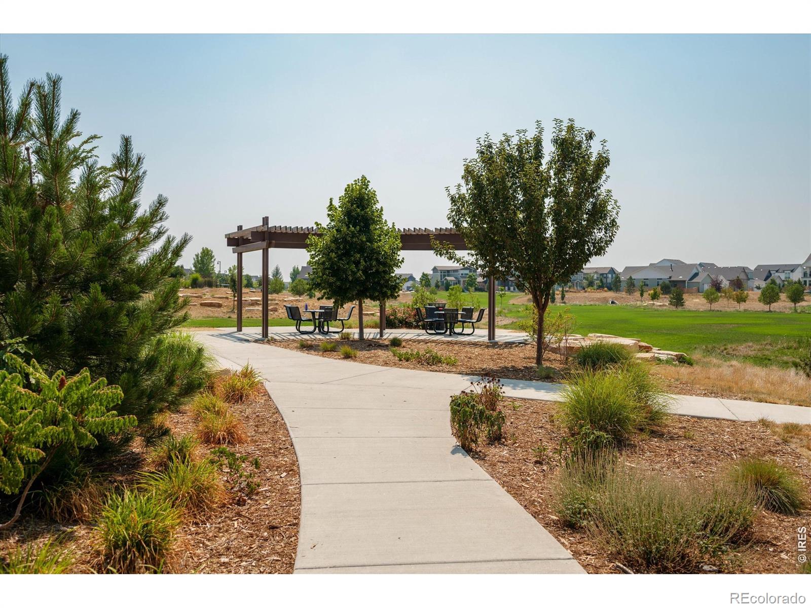 MLS Image #47 for 5251  ribault street,timnath, Colorado