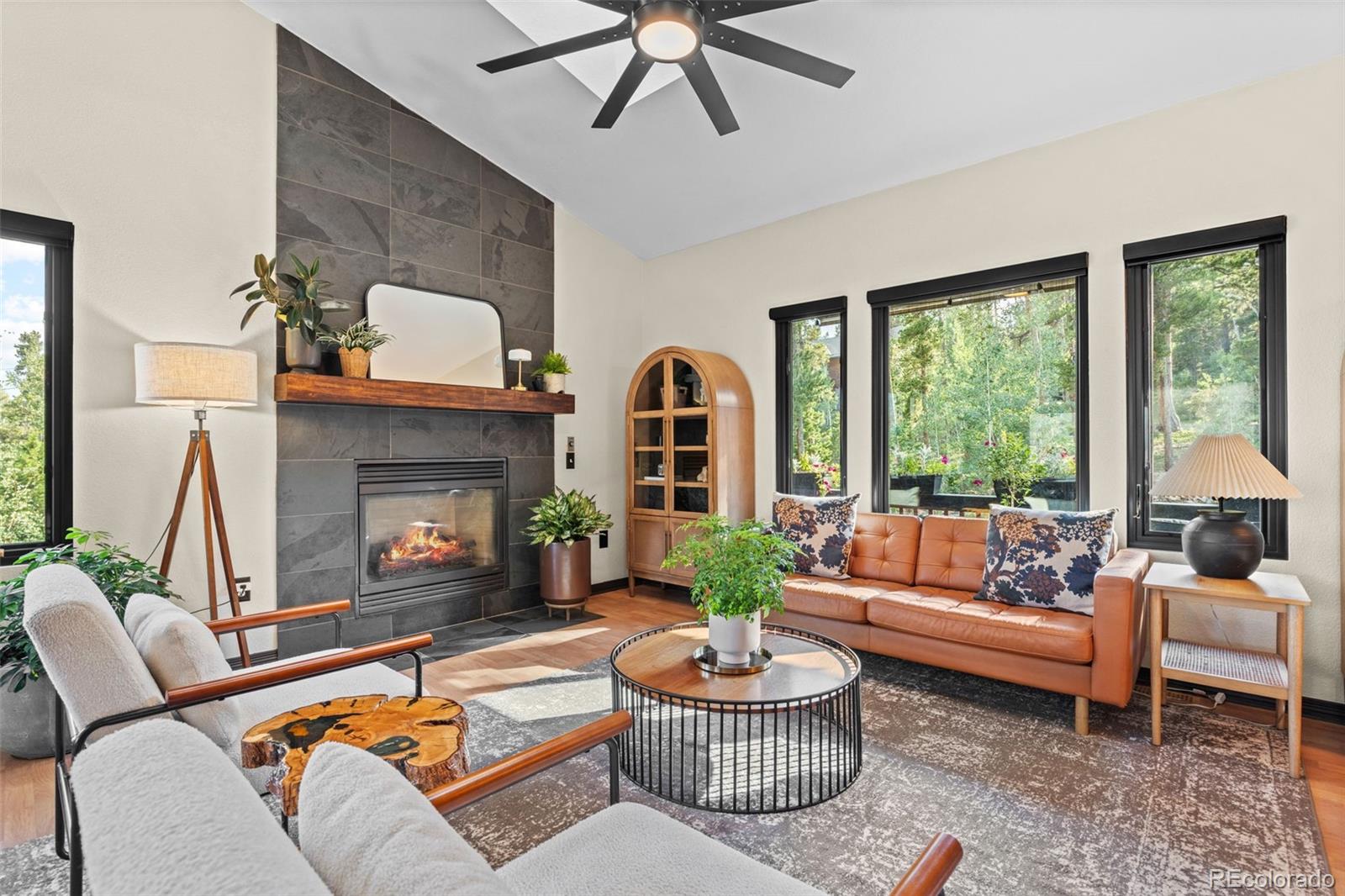 MLS Image #4 for 424 w dory way,black hawk, Colorado