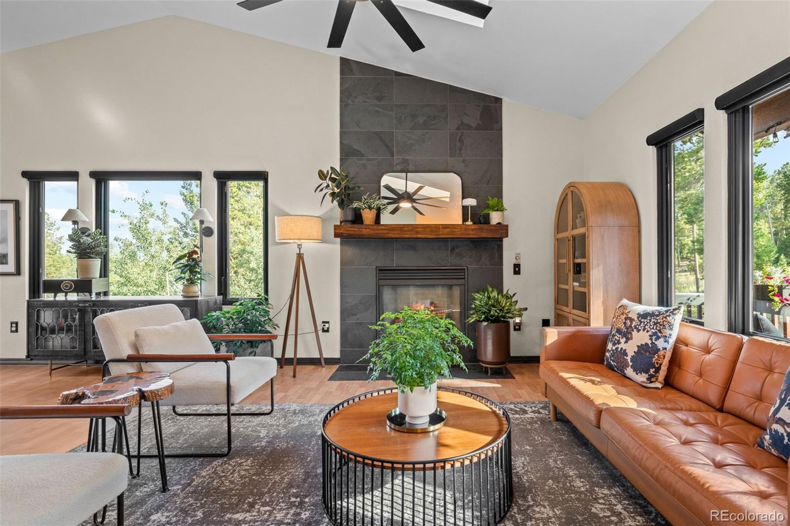 MLS Image #5 for 424 w dory way,black hawk, Colorado