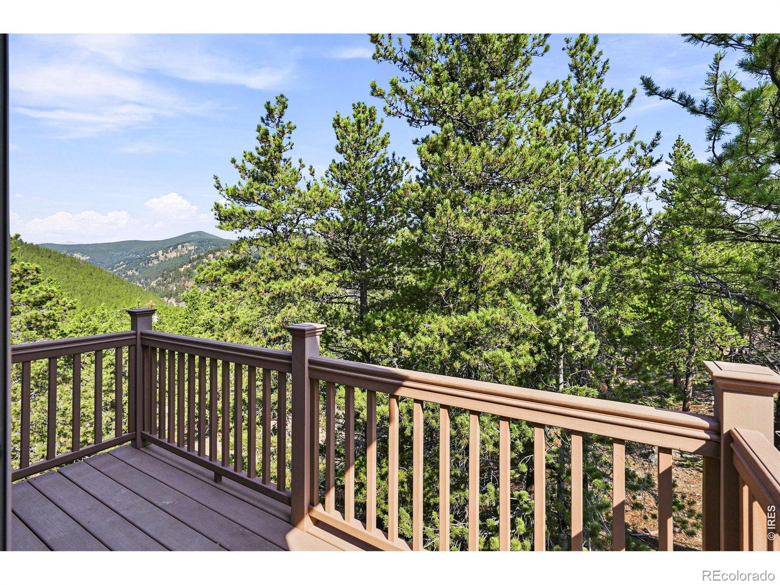 MLS Image #23 for 1301  upper moon gulch road,rollinsville, Colorado