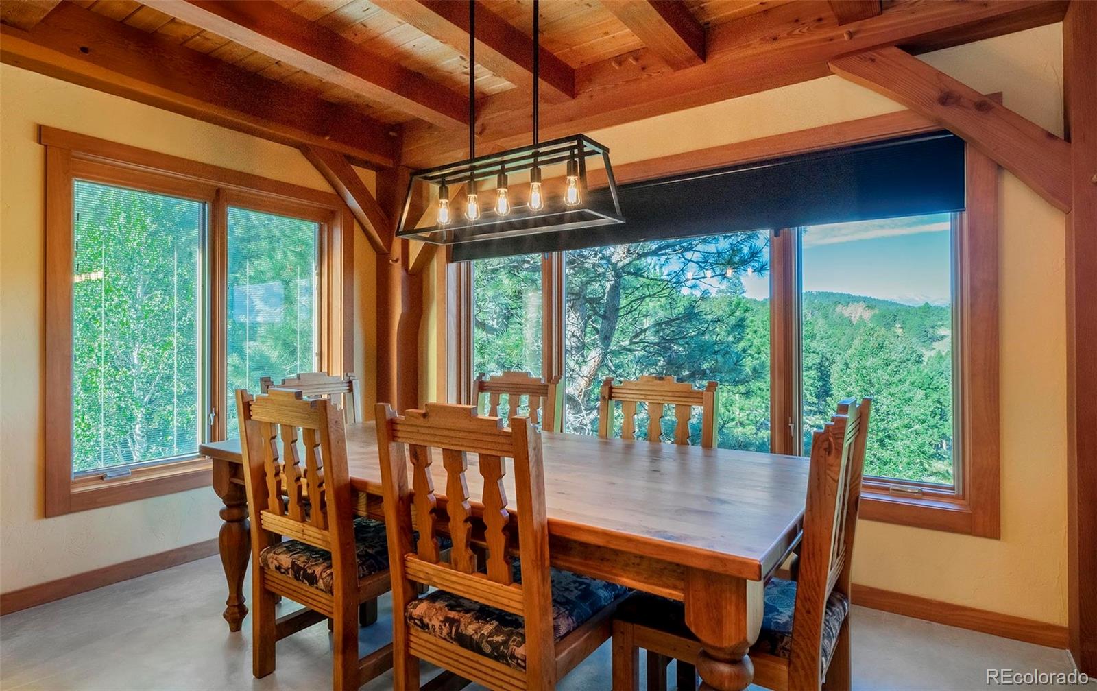 MLS Image #15 for 3375  timbergate trail,evergreen, Colorado