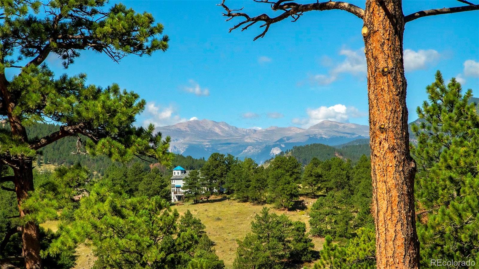 MLS Image #44 for 3375  timbergate trail,evergreen, Colorado