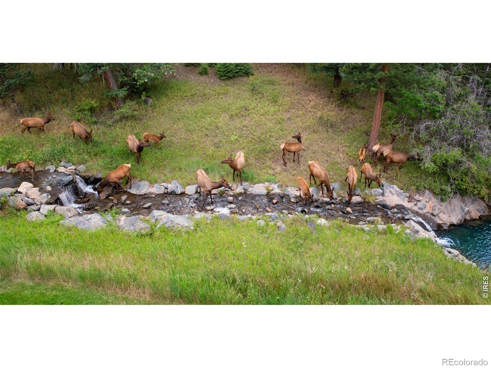 MLS Image #31 for 667  trailside road ,golden, Colorado