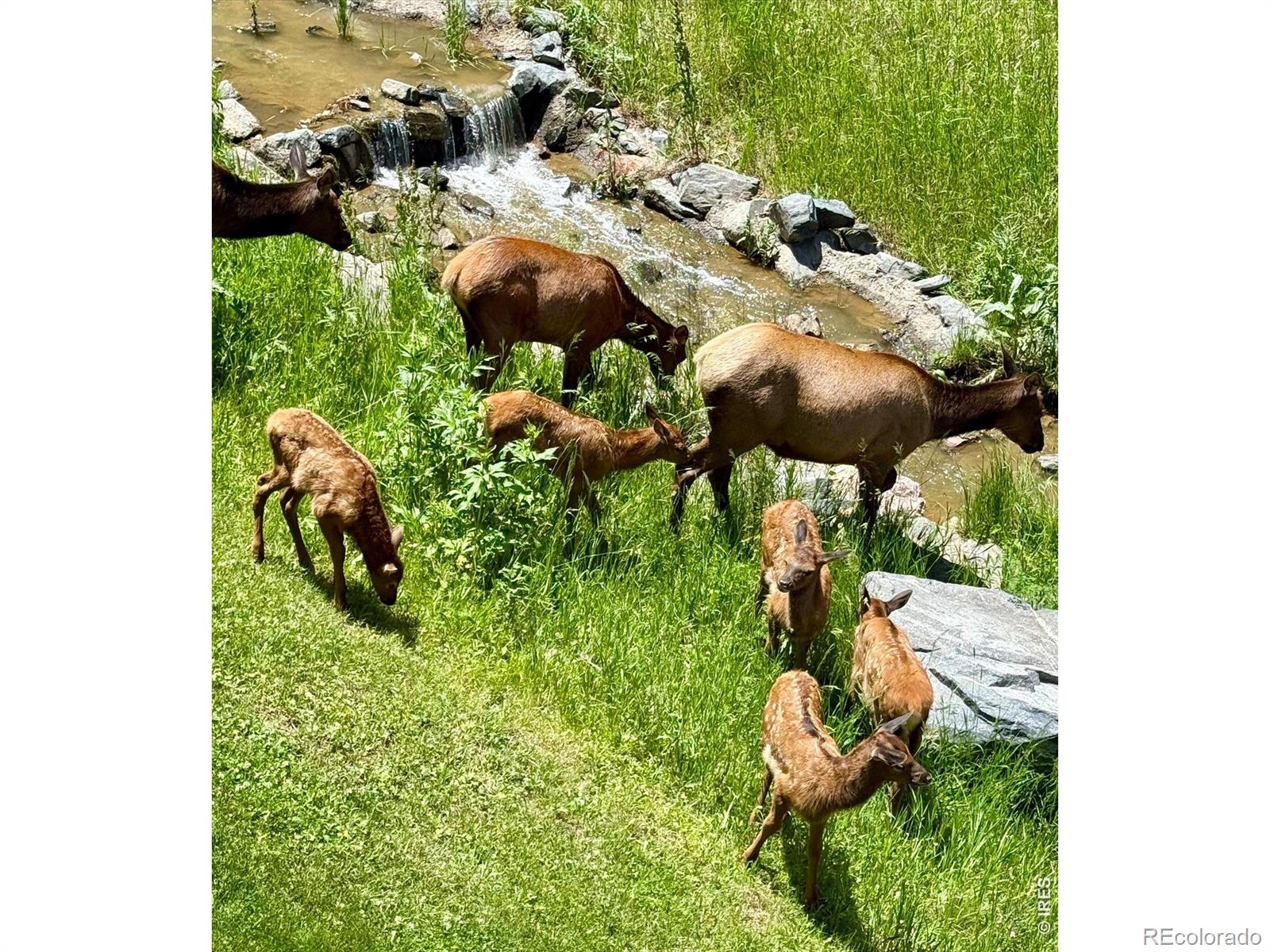 MLS Image #32 for 667  trailside road ,golden, Colorado