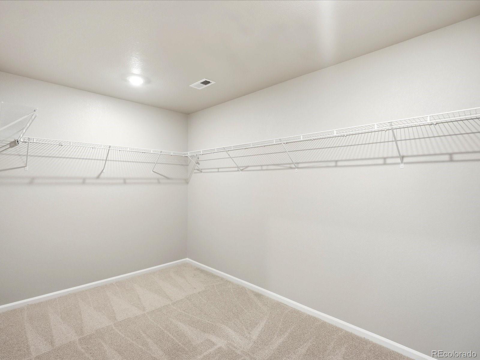 MLS Image #22 for 1660  yampa river drive,windsor, Colorado