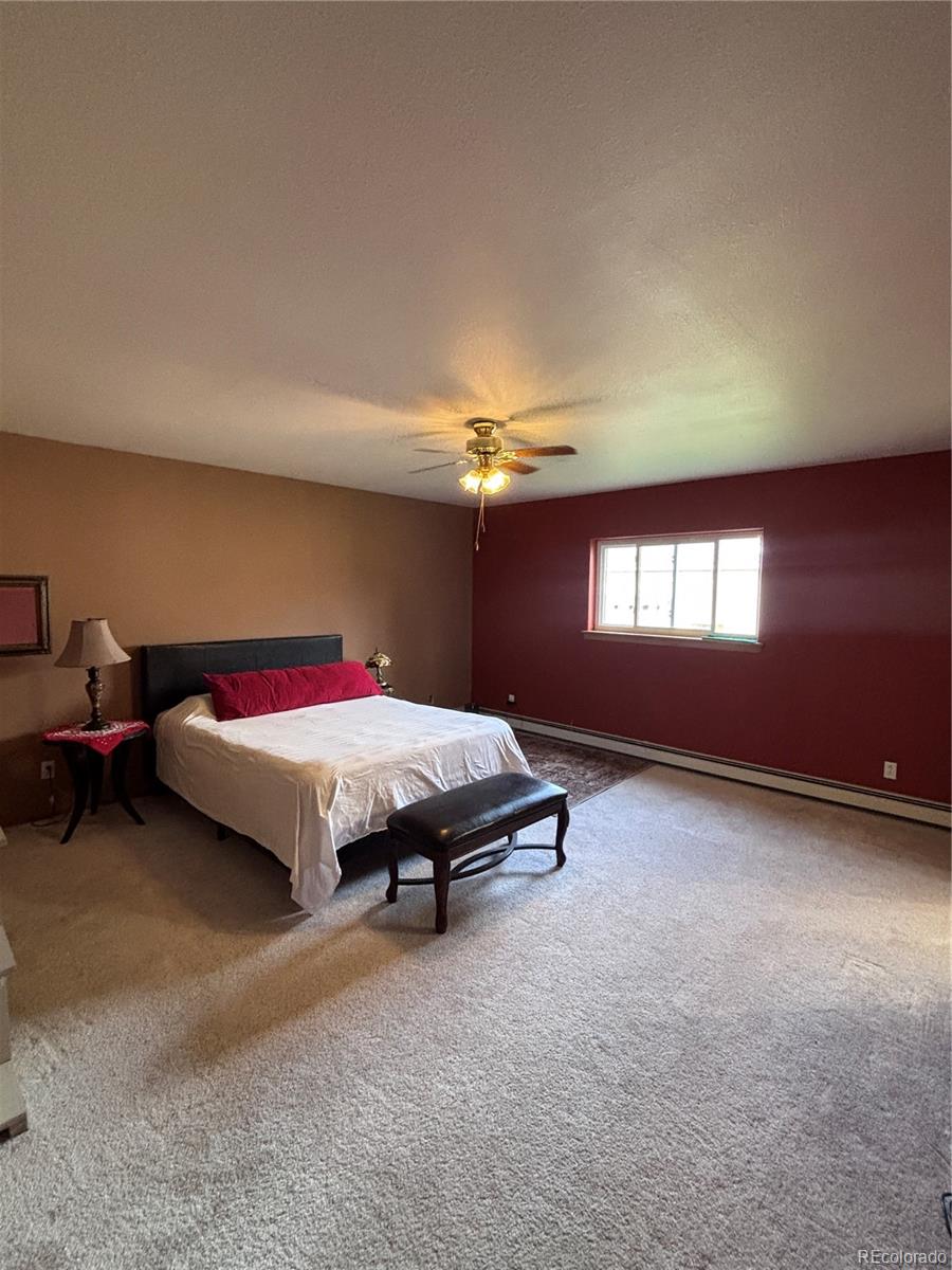 MLS Image #12 for 85  pioneer road,monte vista, Colorado
