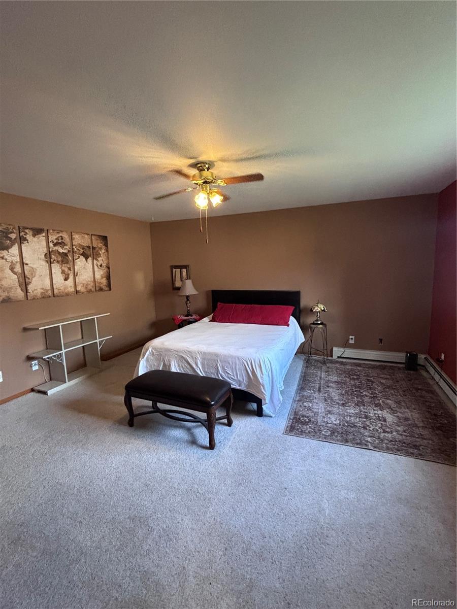 MLS Image #13 for 85  pioneer road,monte vista, Colorado