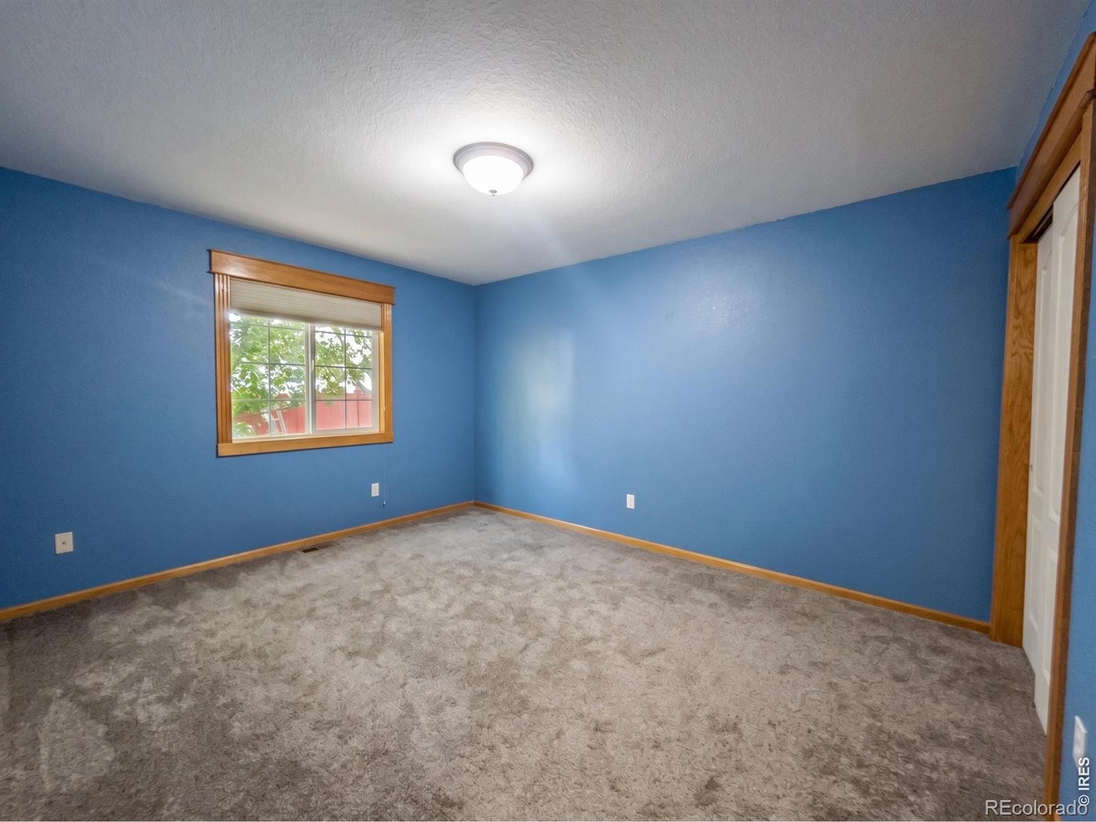 MLS Image #17 for 2266  paonia street,loveland, Colorado