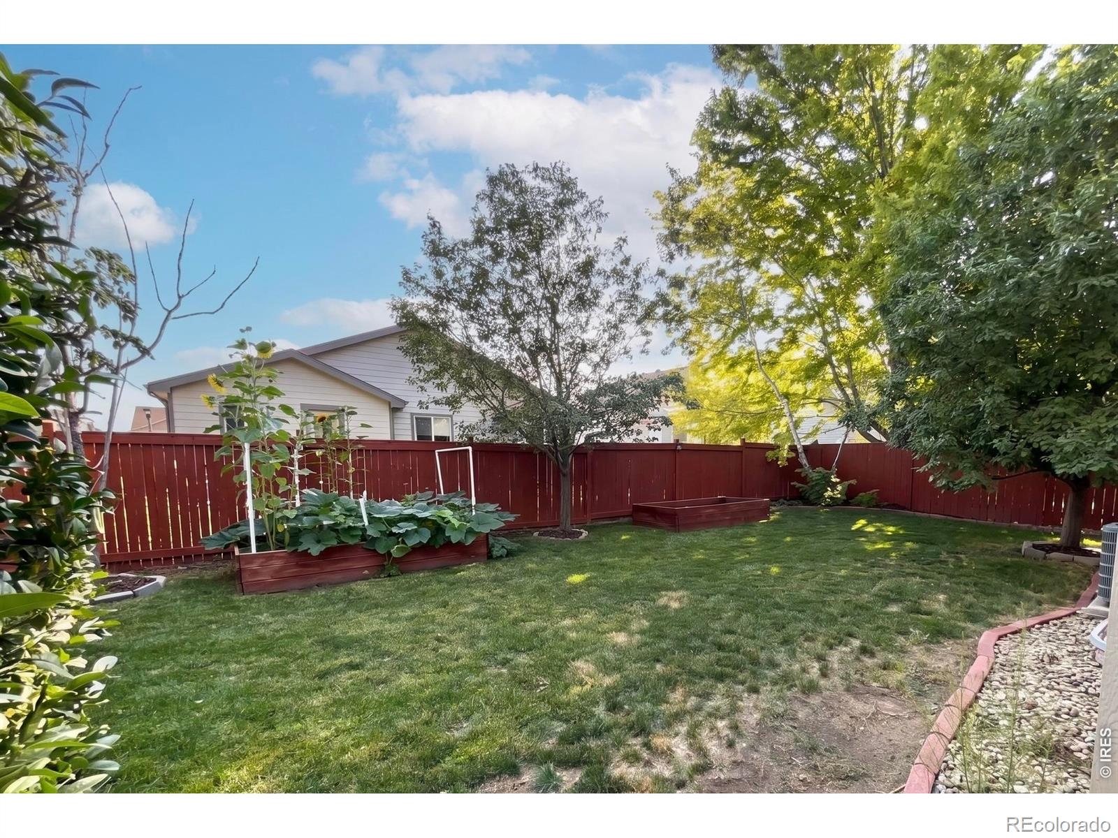 MLS Image #24 for 2266  paonia street,loveland, Colorado
