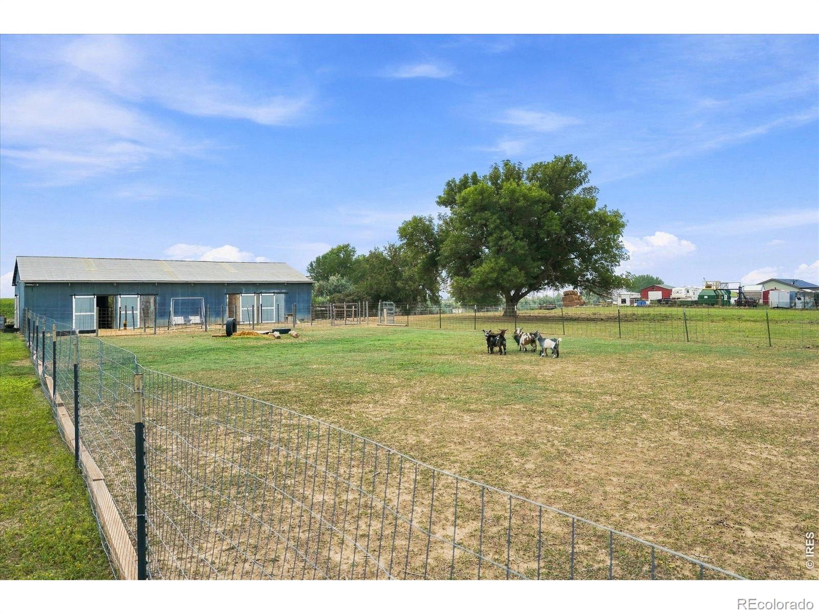 MLS Image #35 for 11576  county road 52 ,milliken, Colorado