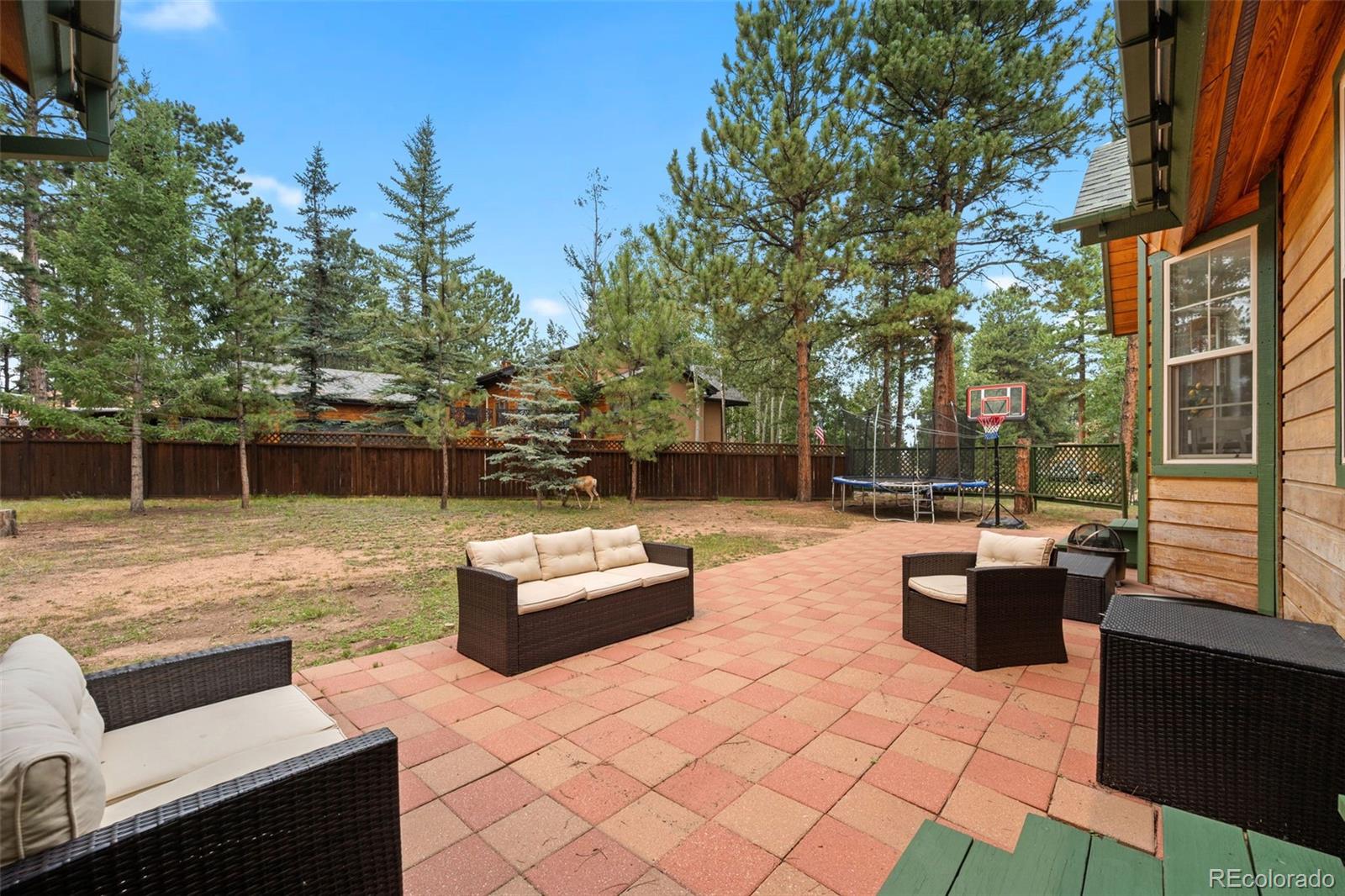 MLS Image #26 for 1400  eagle trace court,woodland park, Colorado