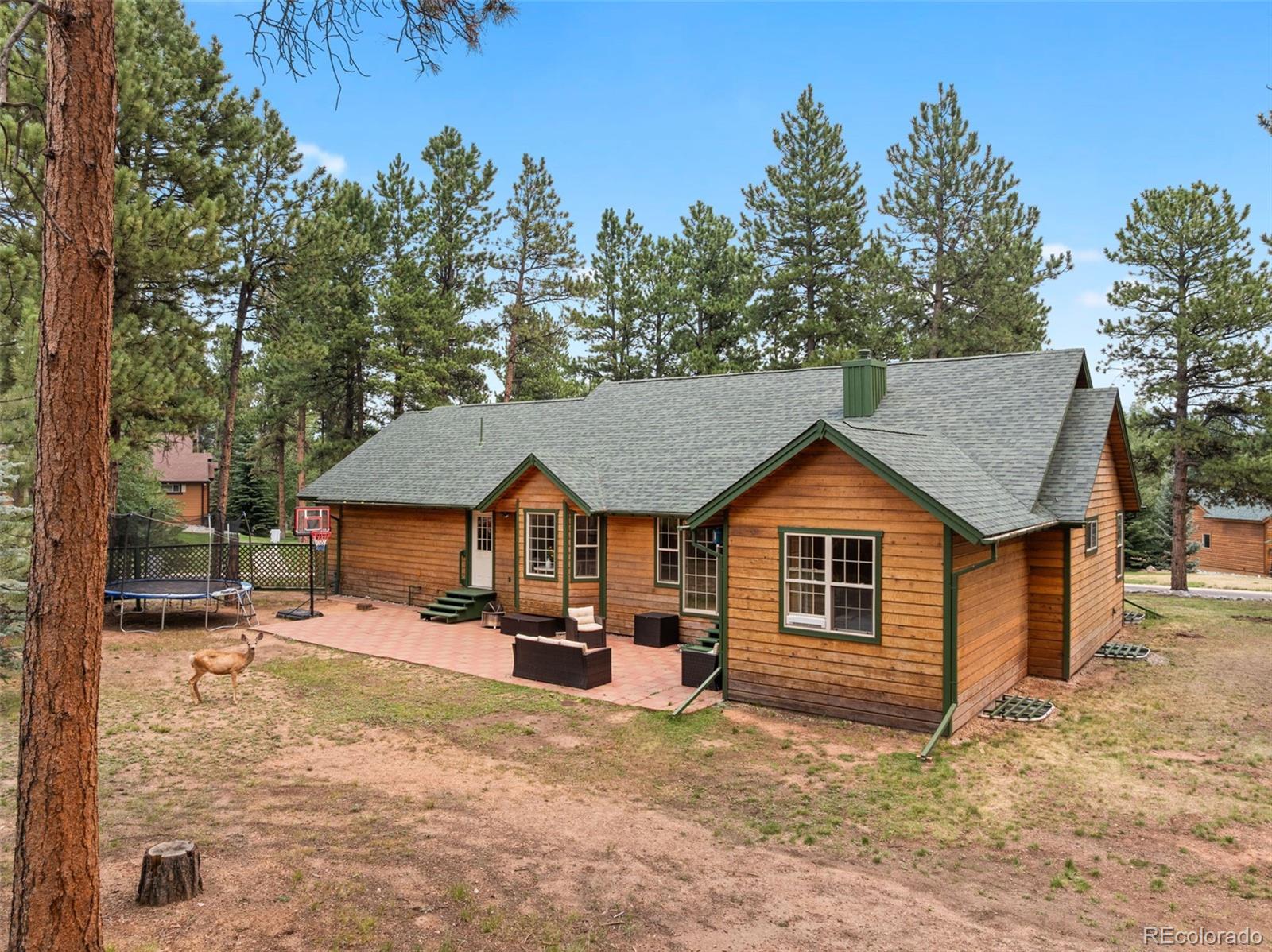 MLS Image #28 for 1400  eagle trace court,woodland park, Colorado