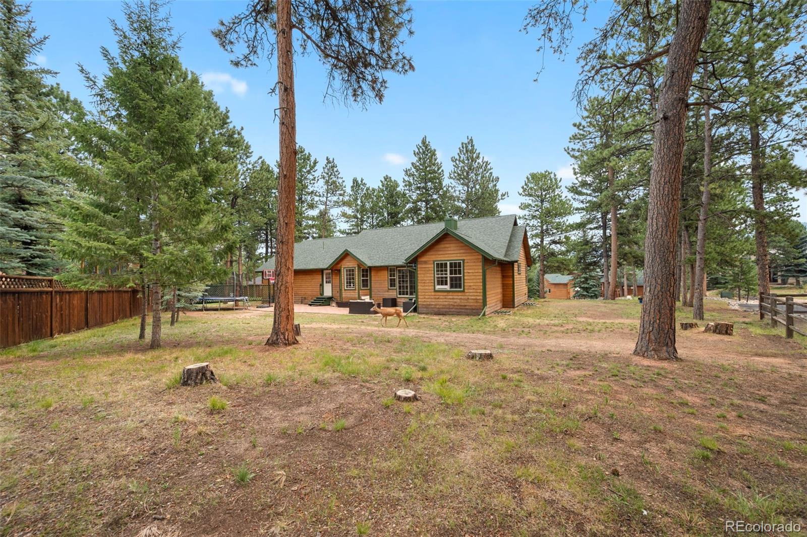 MLS Image #29 for 1400  eagle trace court,woodland park, Colorado