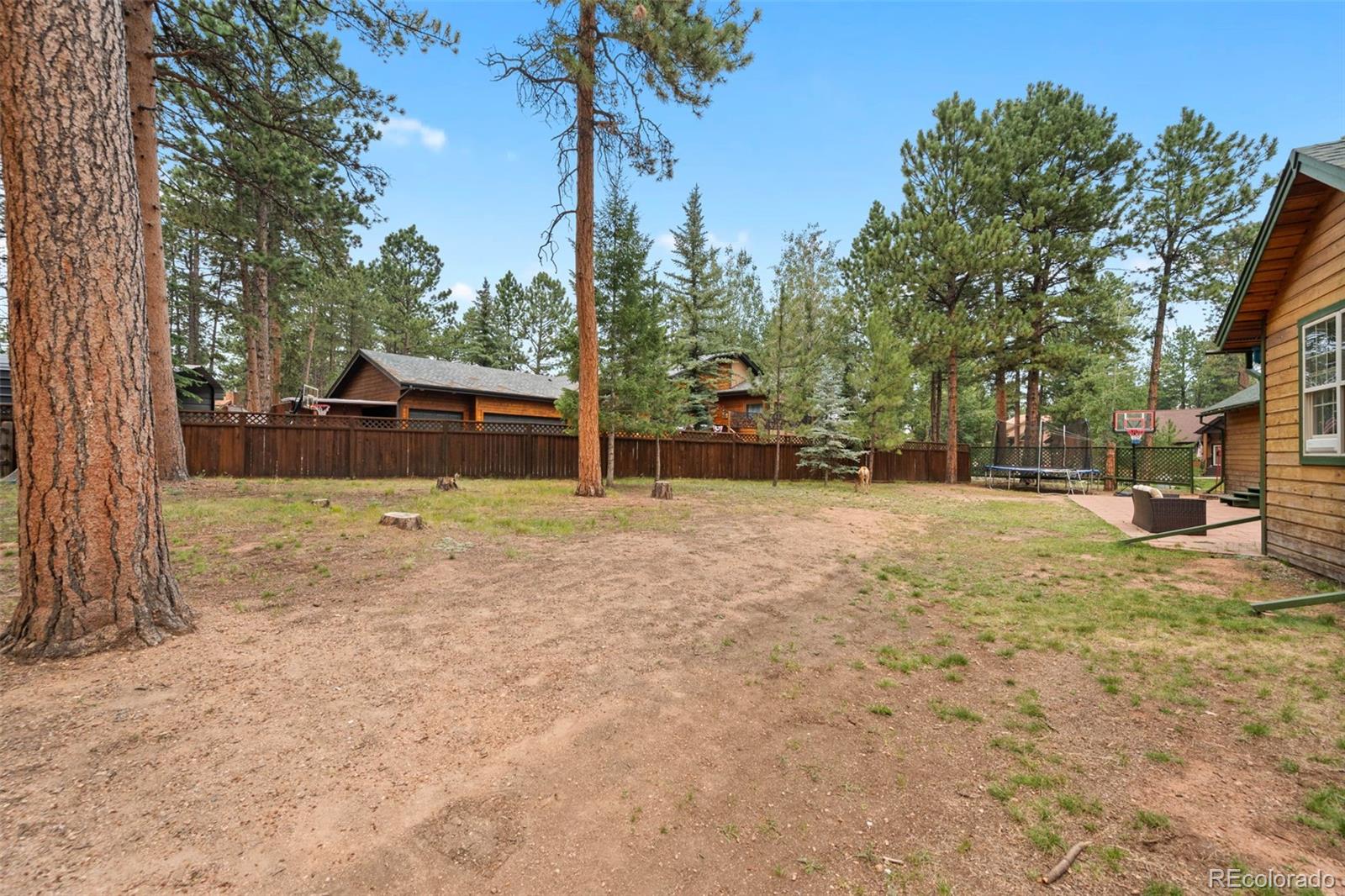 MLS Image #30 for 1400  eagle trace court,woodland park, Colorado