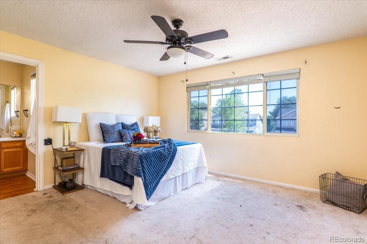 MLS Image #18 for 9342  pony gulch way,colorado springs, Colorado
