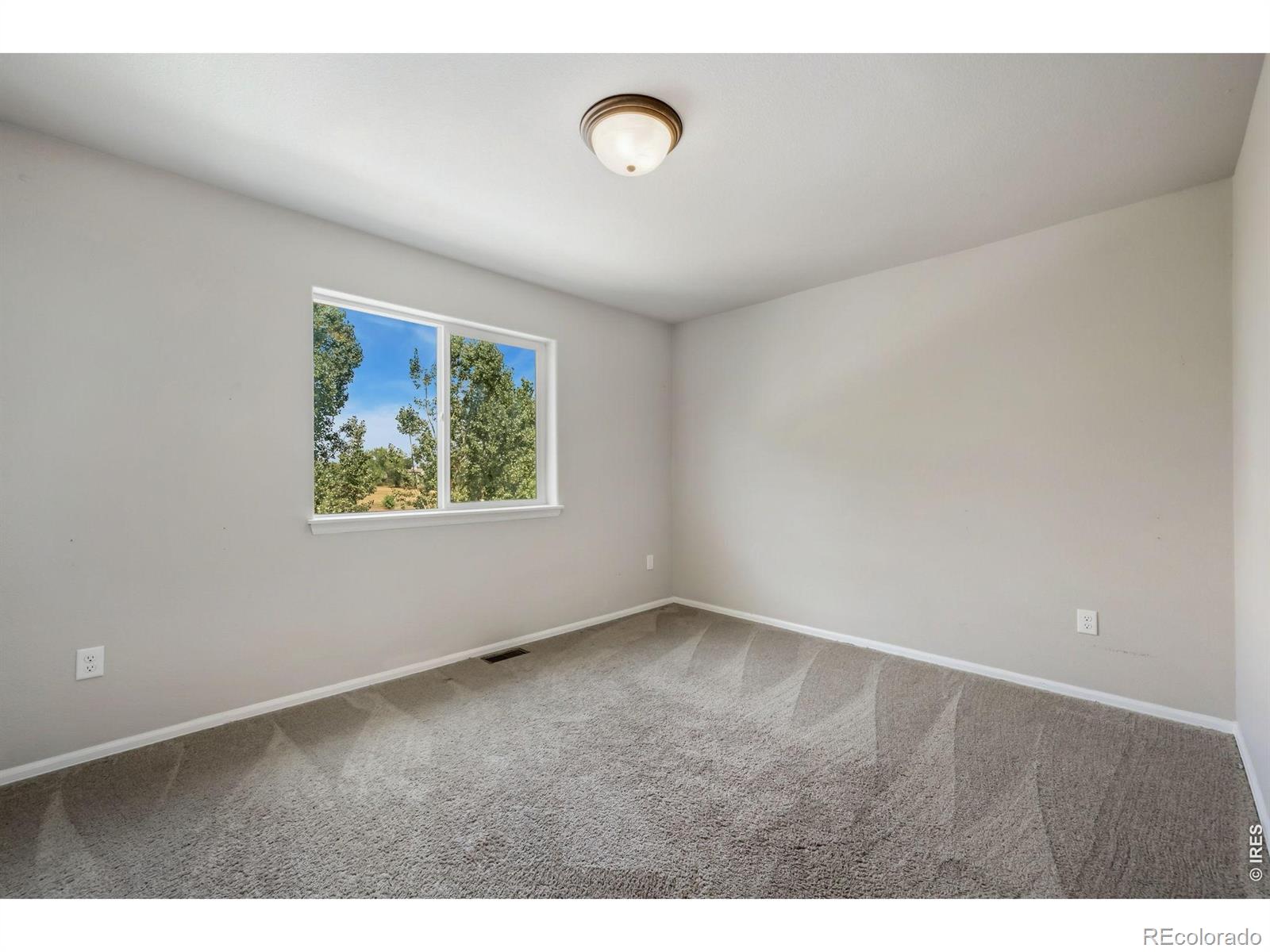 MLS Image #12 for 4357  mountain sky street,johnstown, Colorado