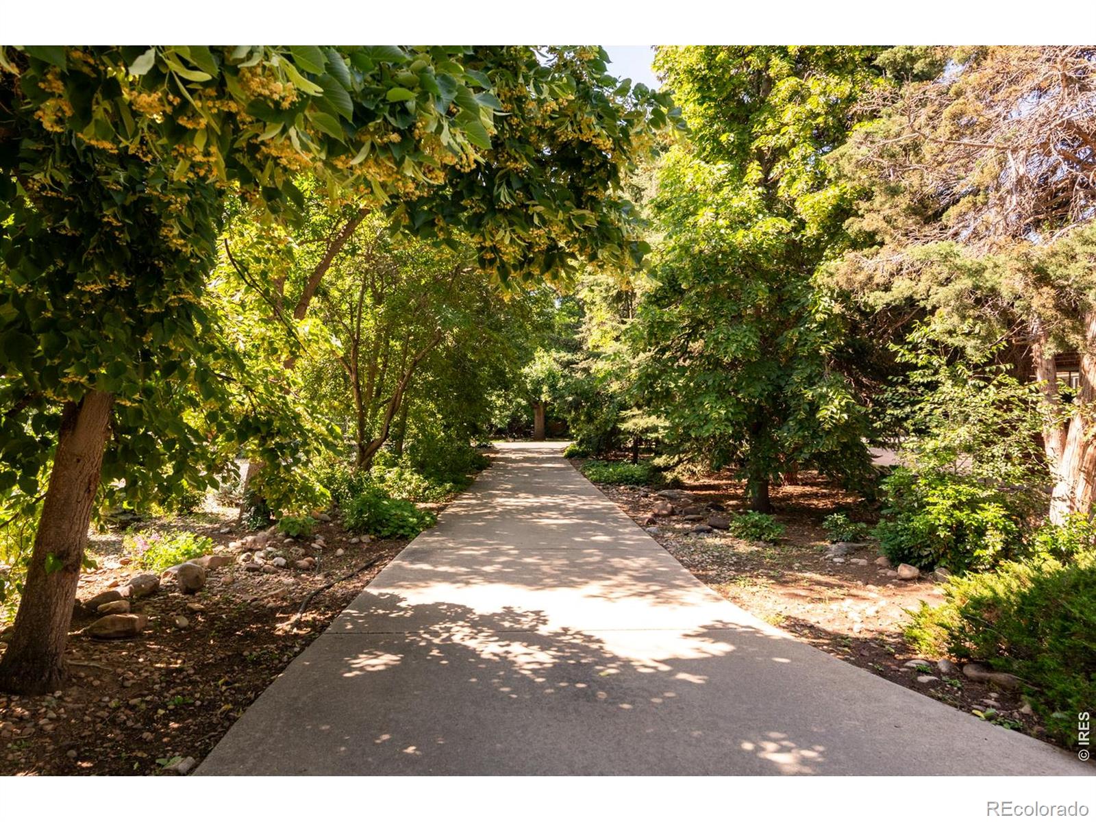 MLS Image #2 for 1127  juniper avenue,boulder, Colorado