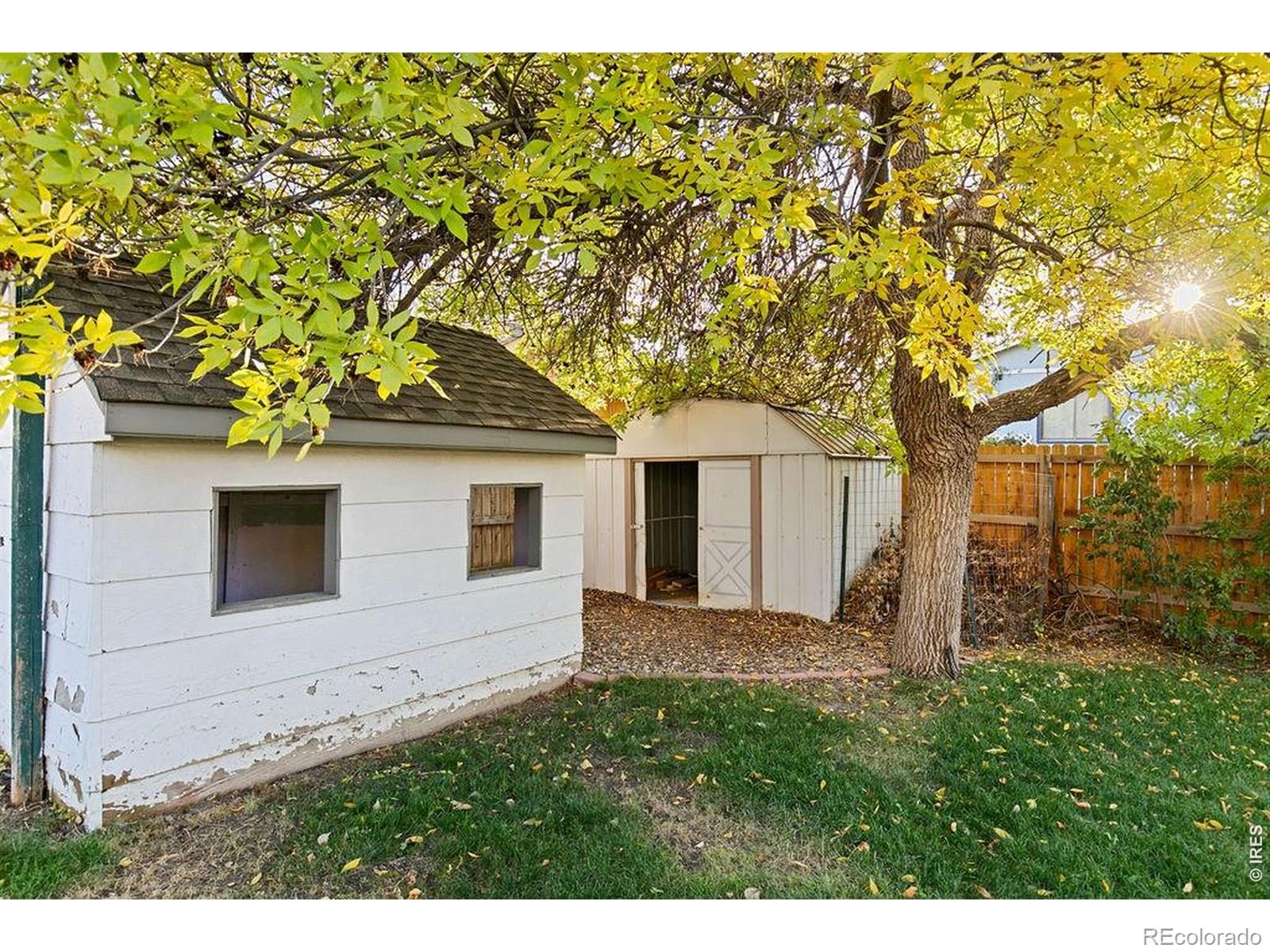 MLS Image #40 for 527 s gilpin avenue,loveland, Colorado