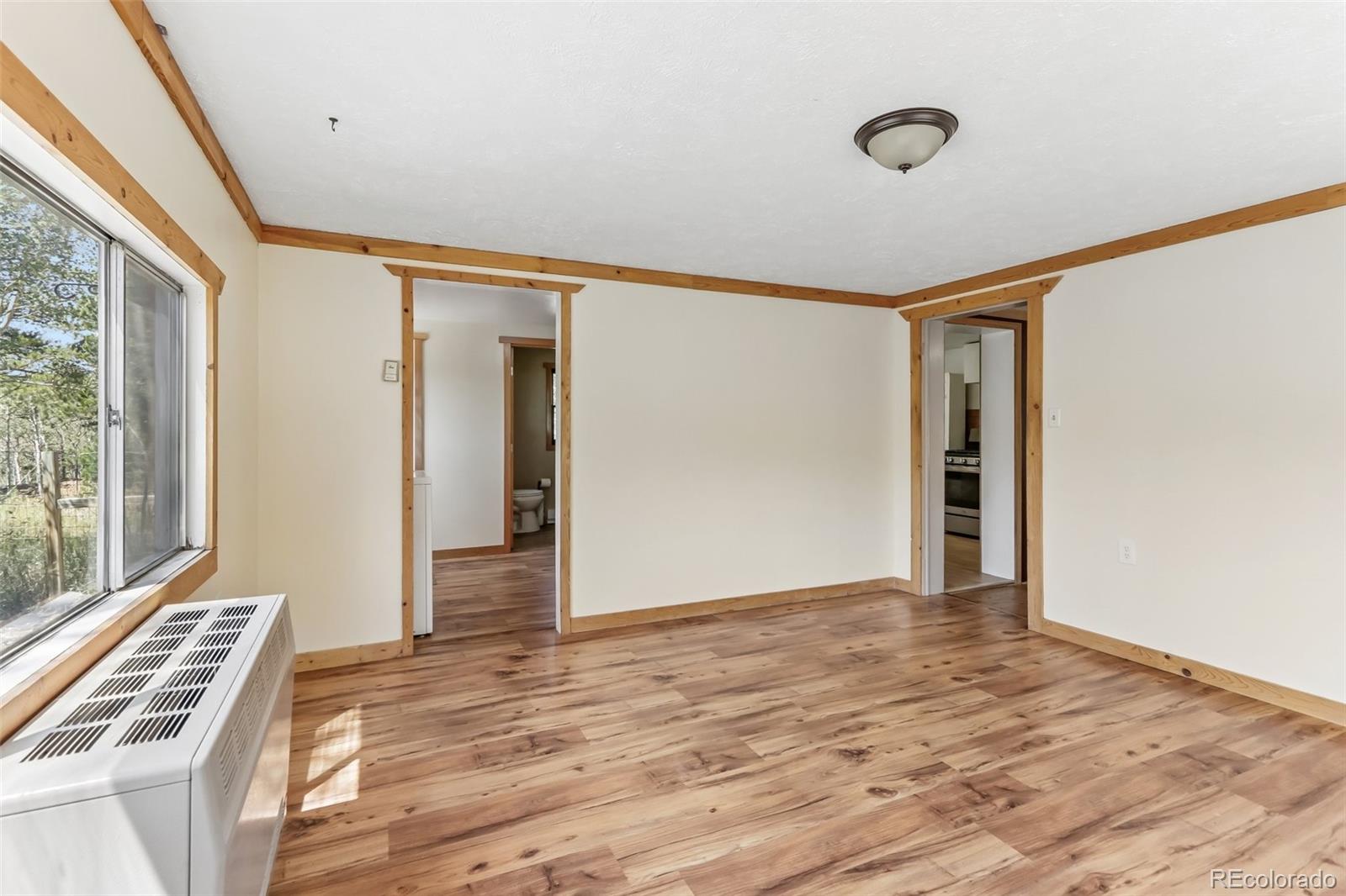 MLS Image #18 for 301  genevas way,black hawk, Colorado