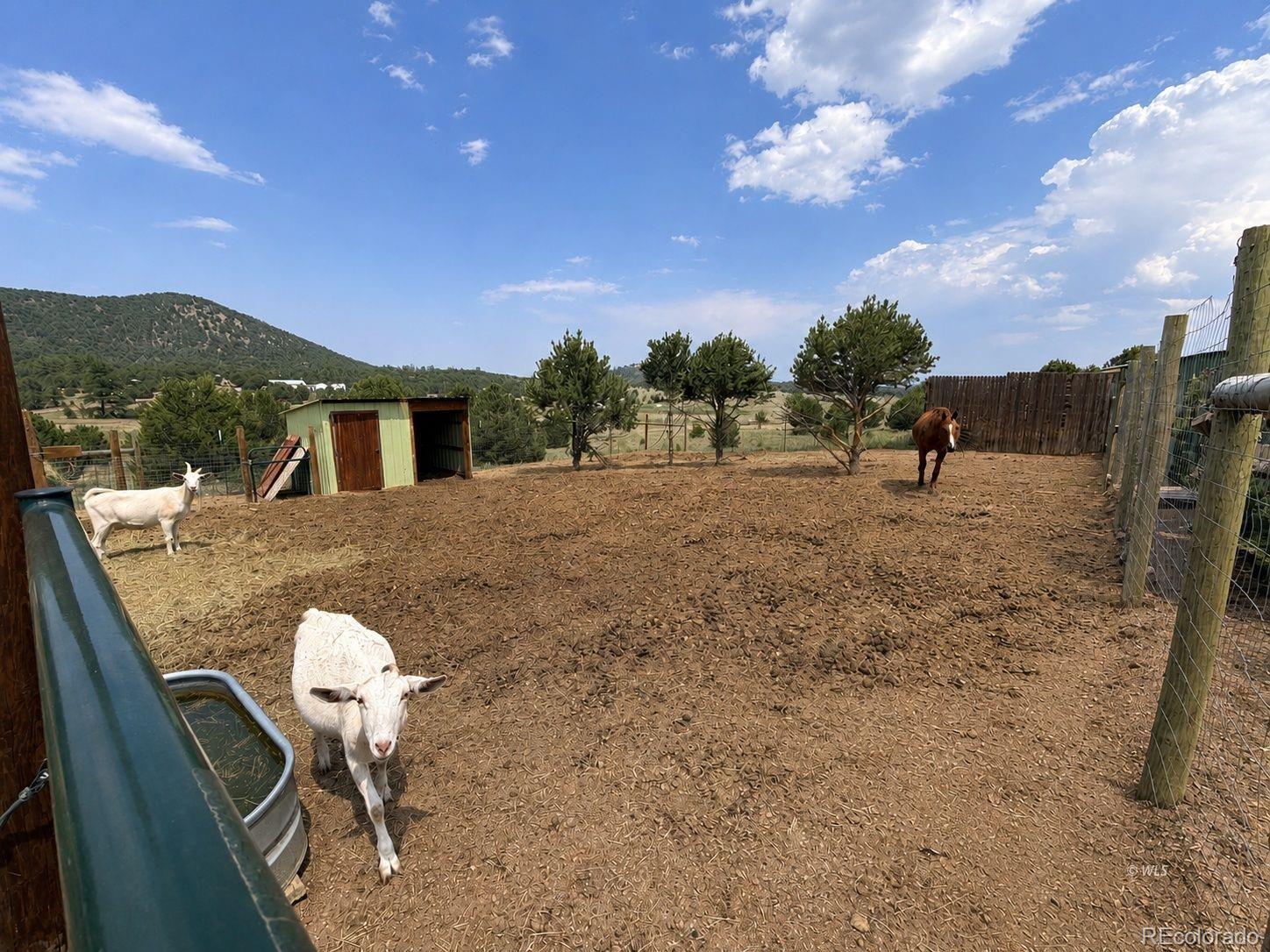 MLS Image #31 for 1662  21st trail,cotopaxi, Colorado