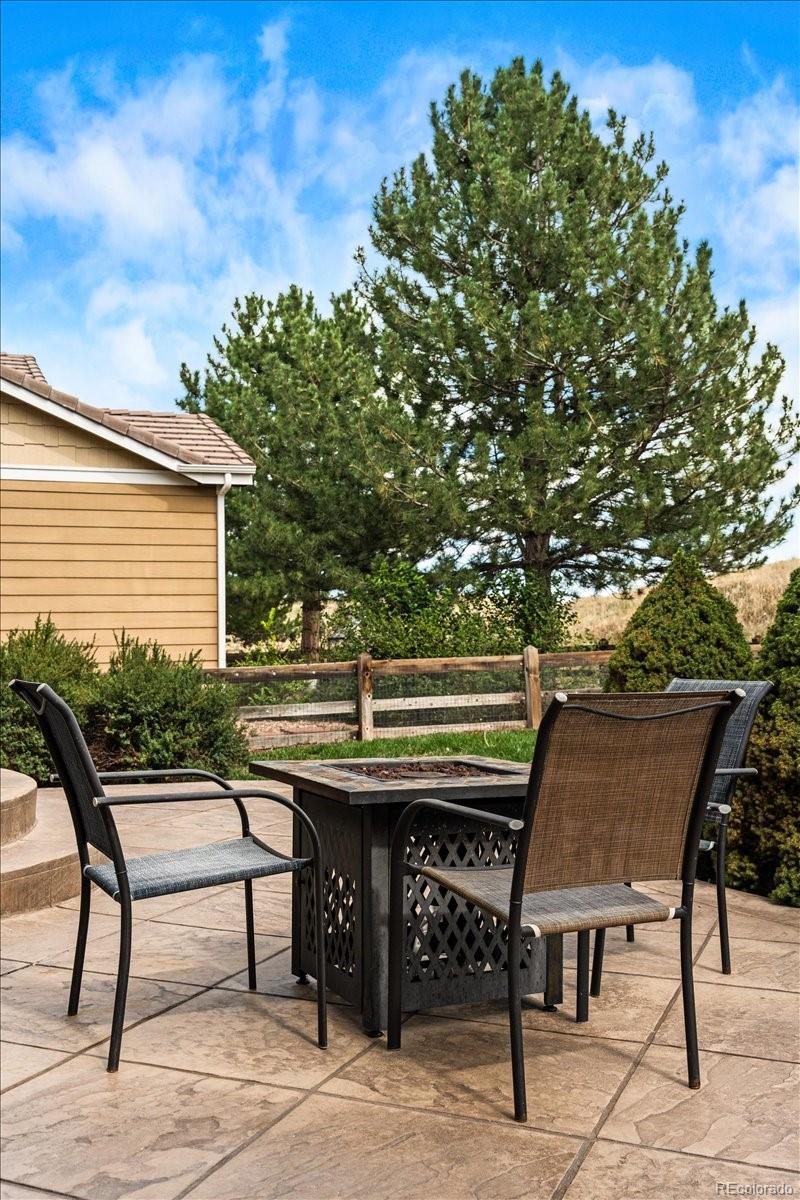 MLS Image #38 for 3372  prairie vista drive,castle rock, Colorado