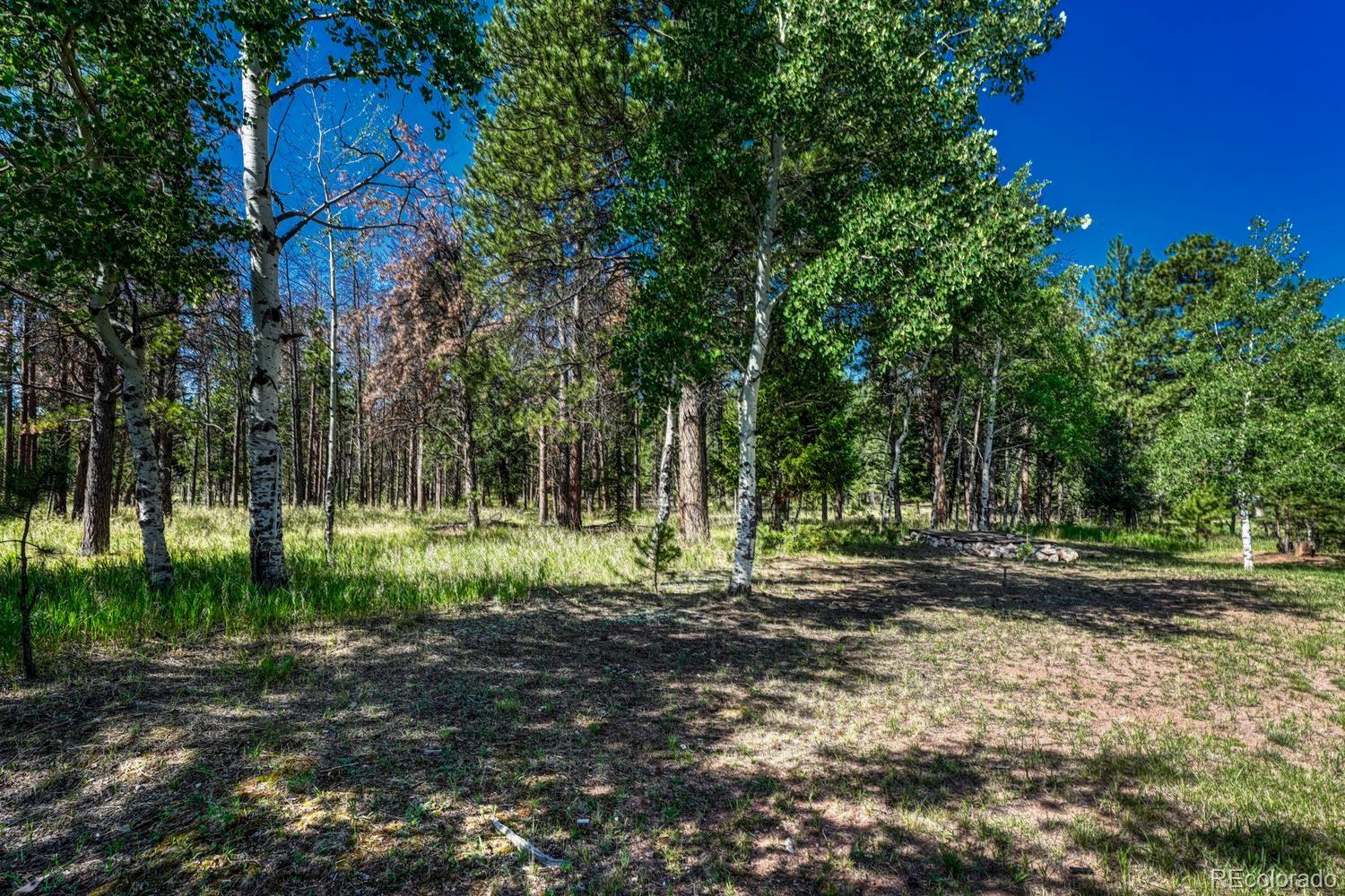 MLS Image #16 for 115  hawkridge drive,woodland park, Colorado