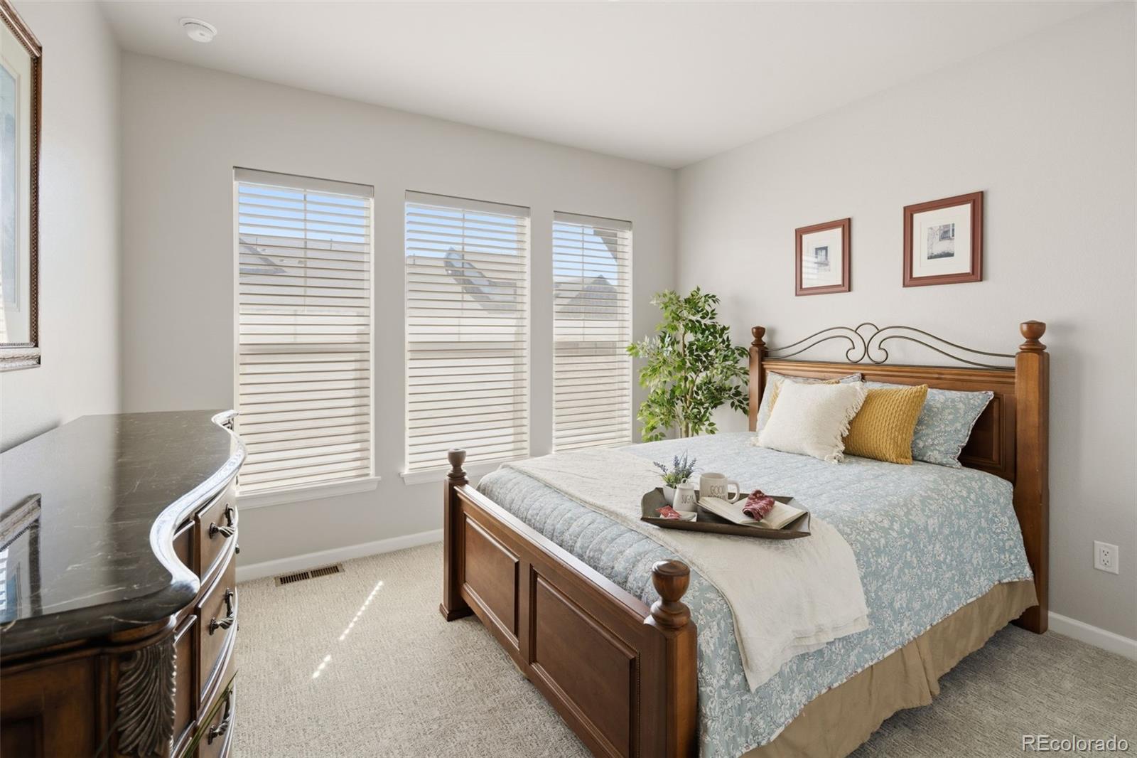 MLS Image #14 for 8273 s queen street,littleton, Colorado
