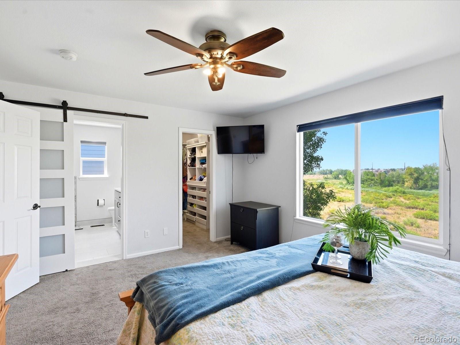 MLS Image #36 for 9331  cove creek drive,littleton, Colorado