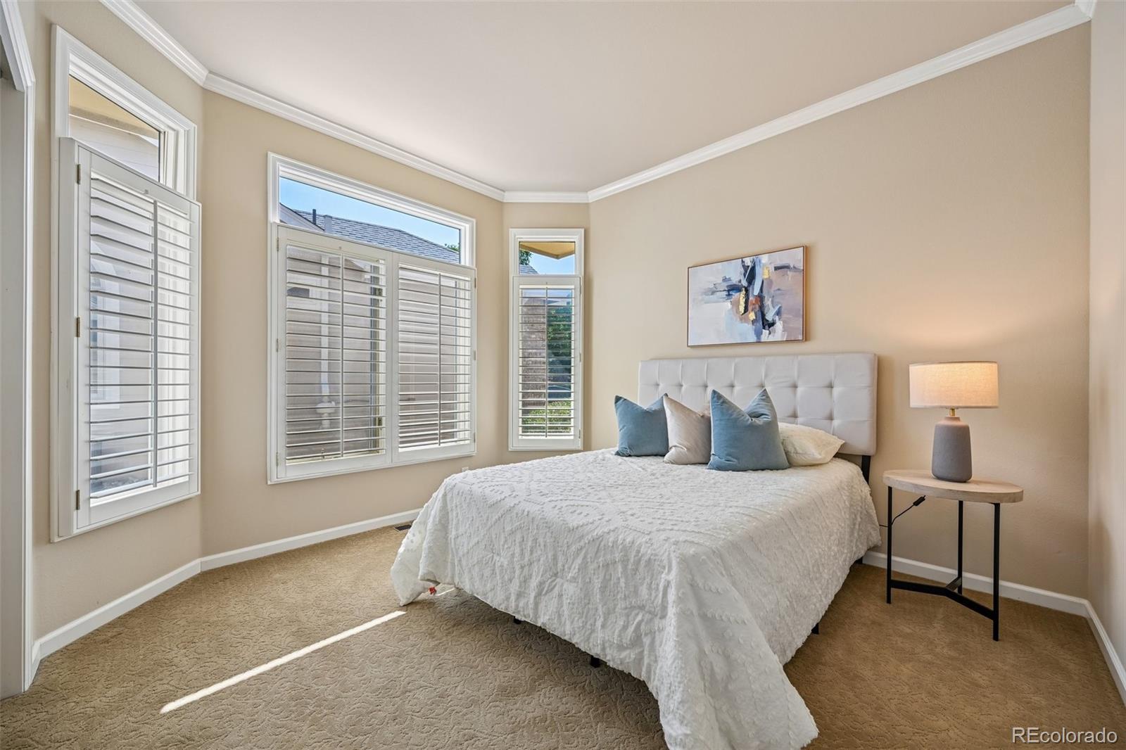 MLS Image #28 for 9  skye lane,littleton, Colorado