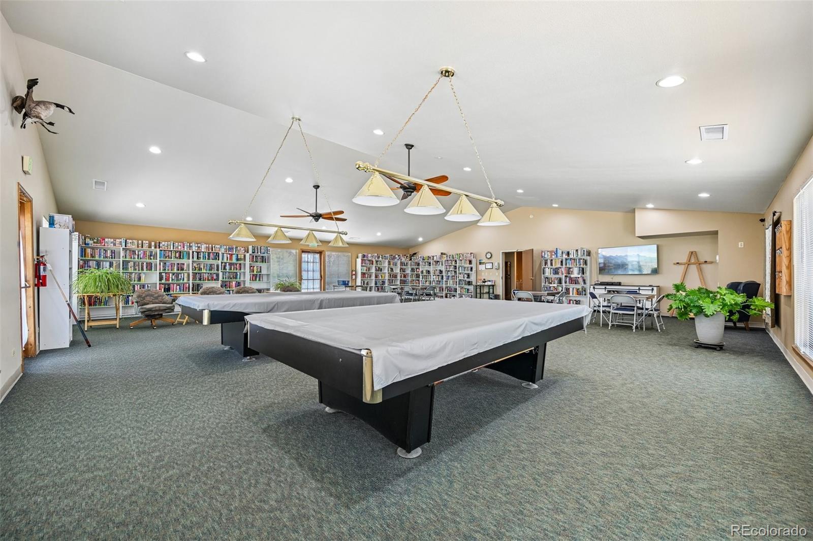 MLS Image #47 for 9  skye lane,littleton, Colorado