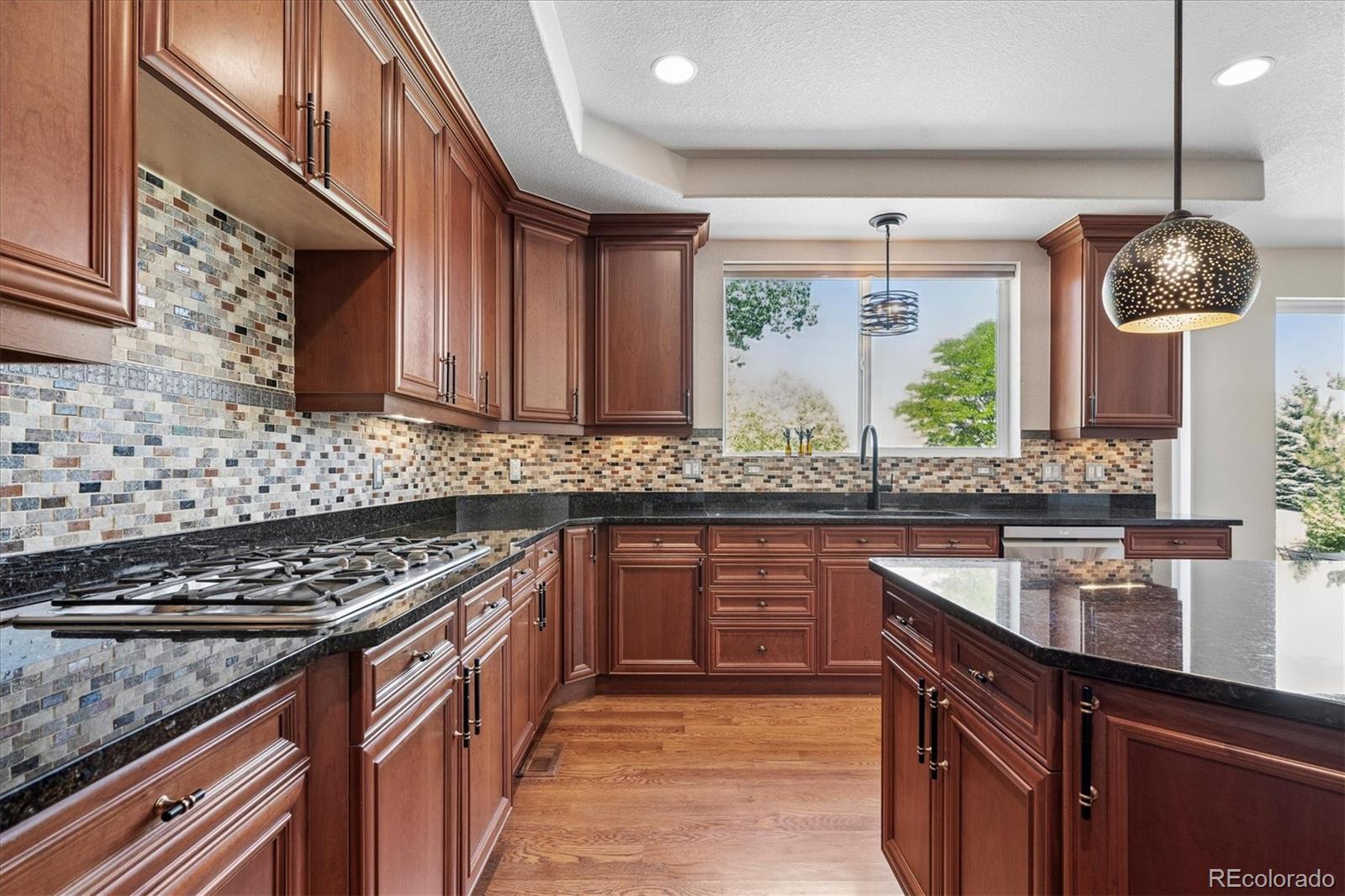 MLS Image #19 for 5615  vistancia drive,parker, Colorado