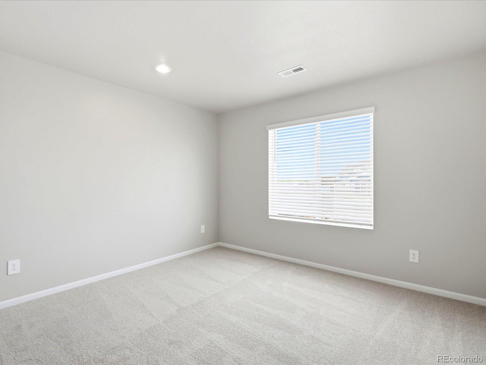 MLS Image #23 for 1648  yampa river drive,windsor, Colorado