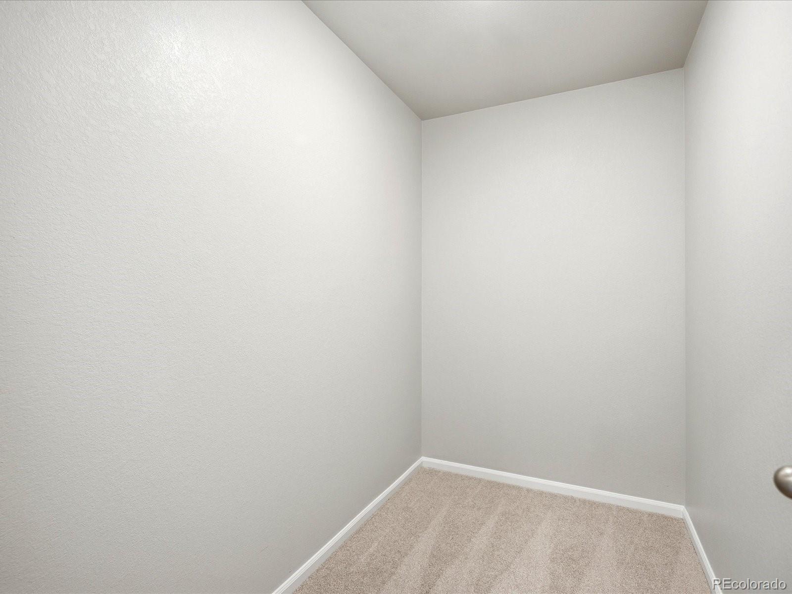 MLS Image #26 for 1648  yampa river drive,windsor, Colorado