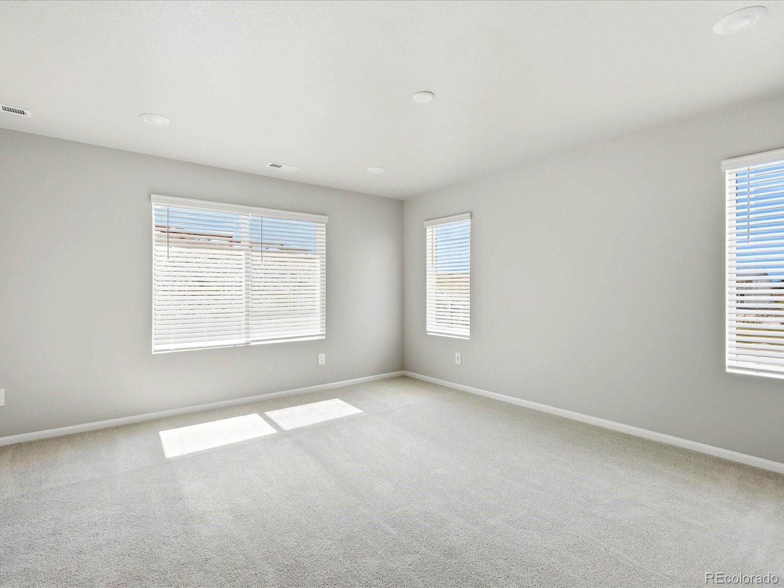 MLS Image #27 for 1648  yampa river drive,windsor, Colorado