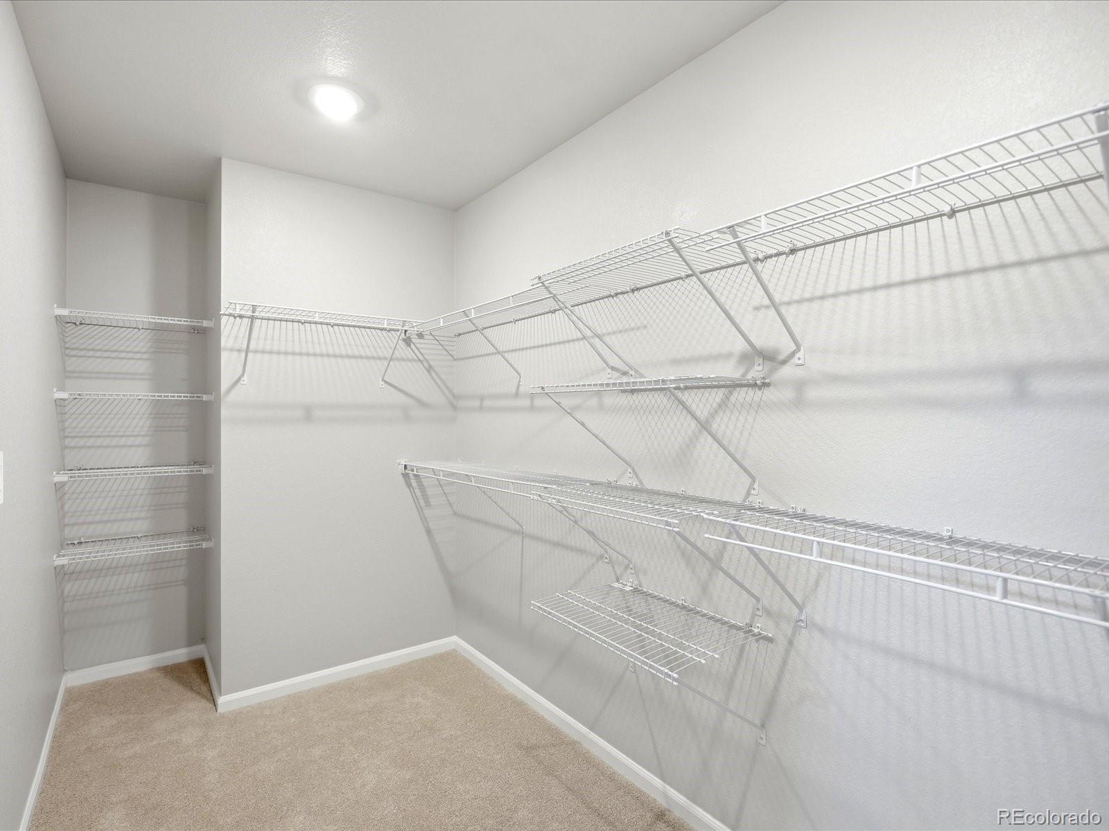 MLS Image #31 for 1648  yampa river drive,windsor, Colorado