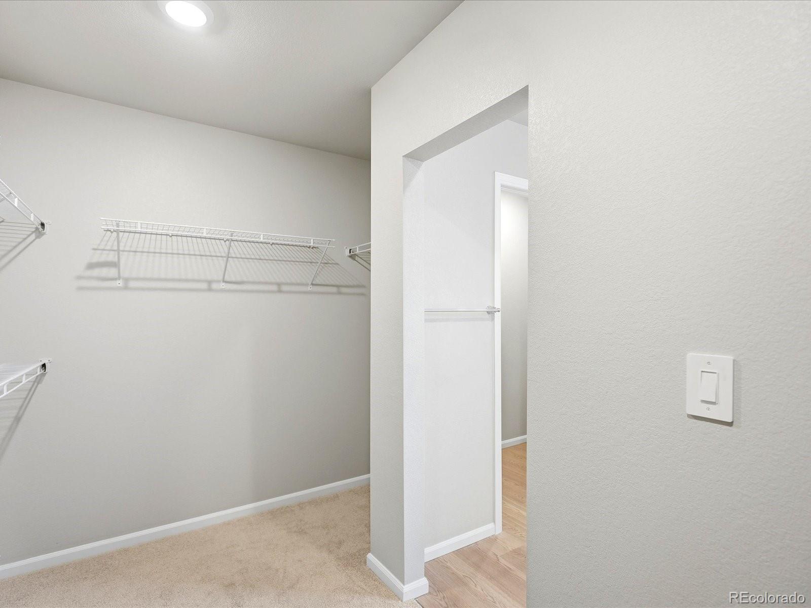 MLS Image #32 for 1648  yampa river drive,windsor, Colorado