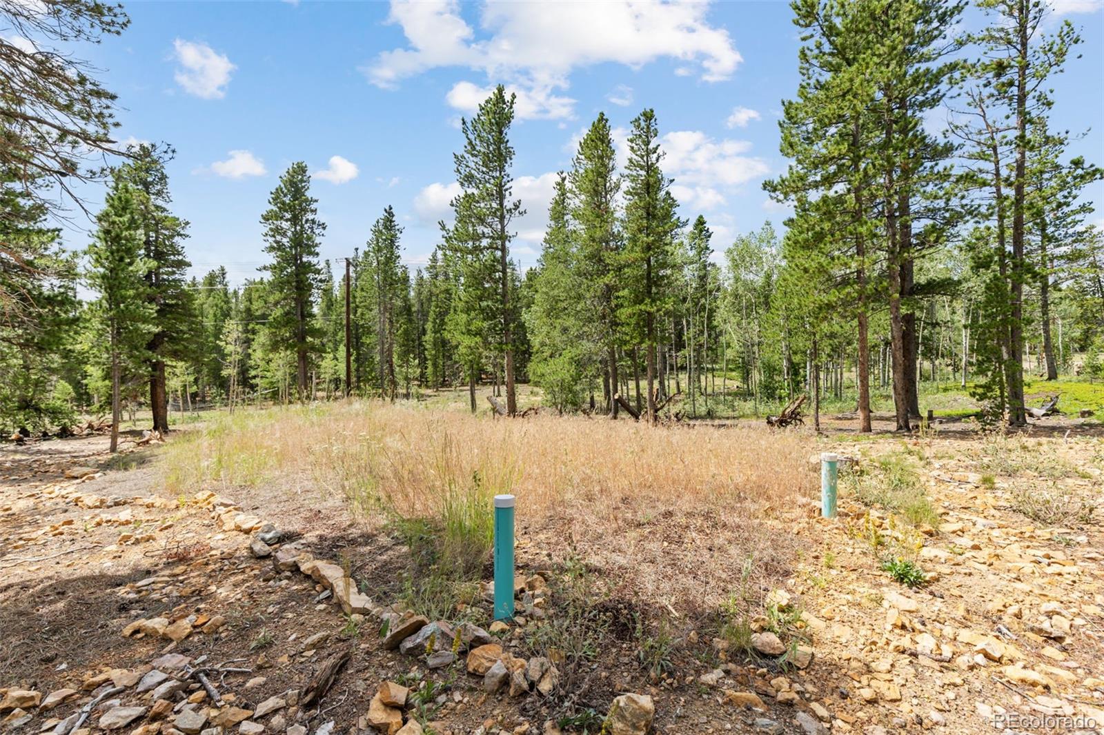 MLS Image #23 for 20  paint brush drive,black hawk, Colorado