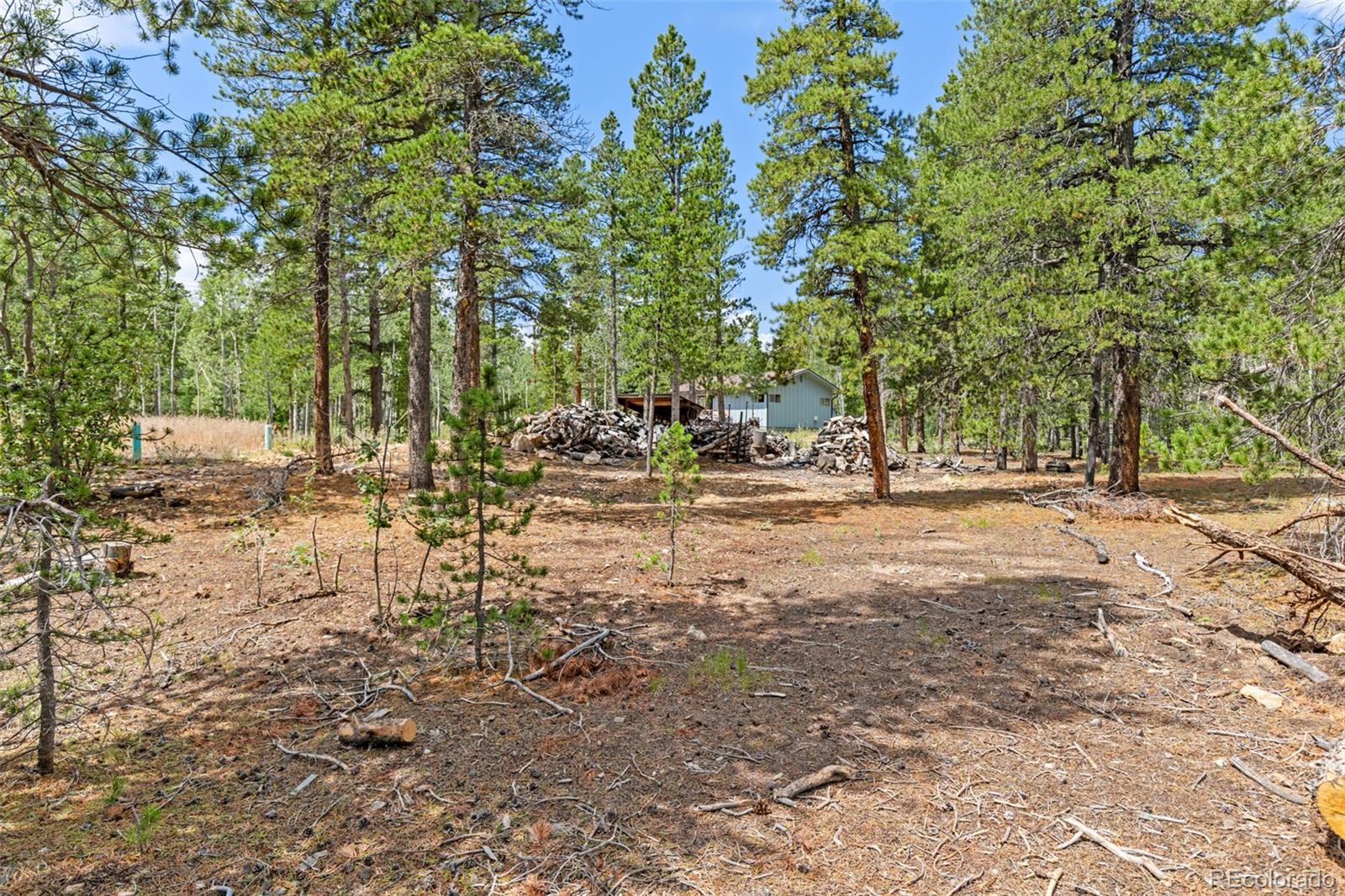 MLS Image #31 for 20  paint brush drive,black hawk, Colorado