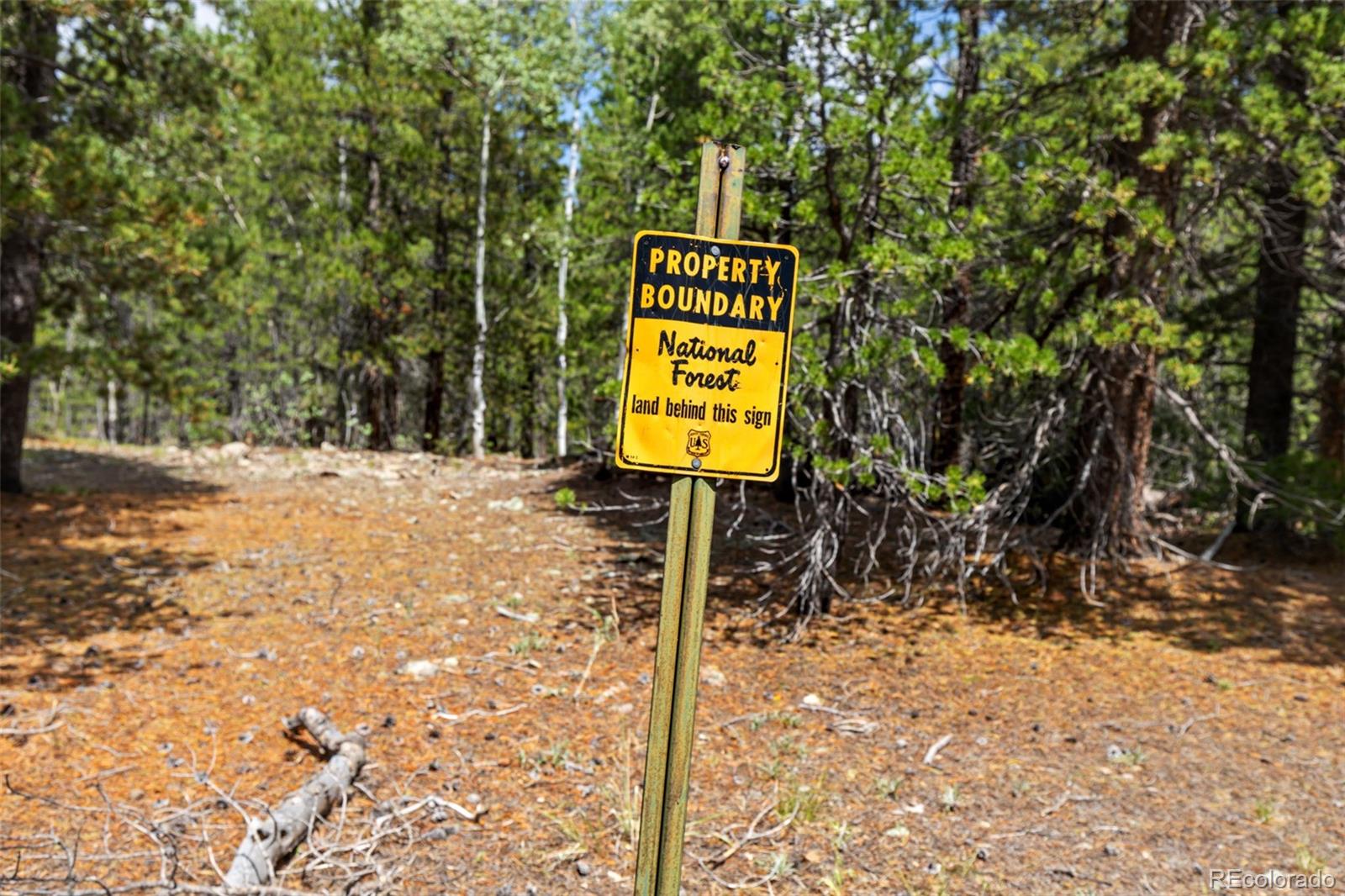 MLS Image #5 for 20  paint brush drive,black hawk, Colorado