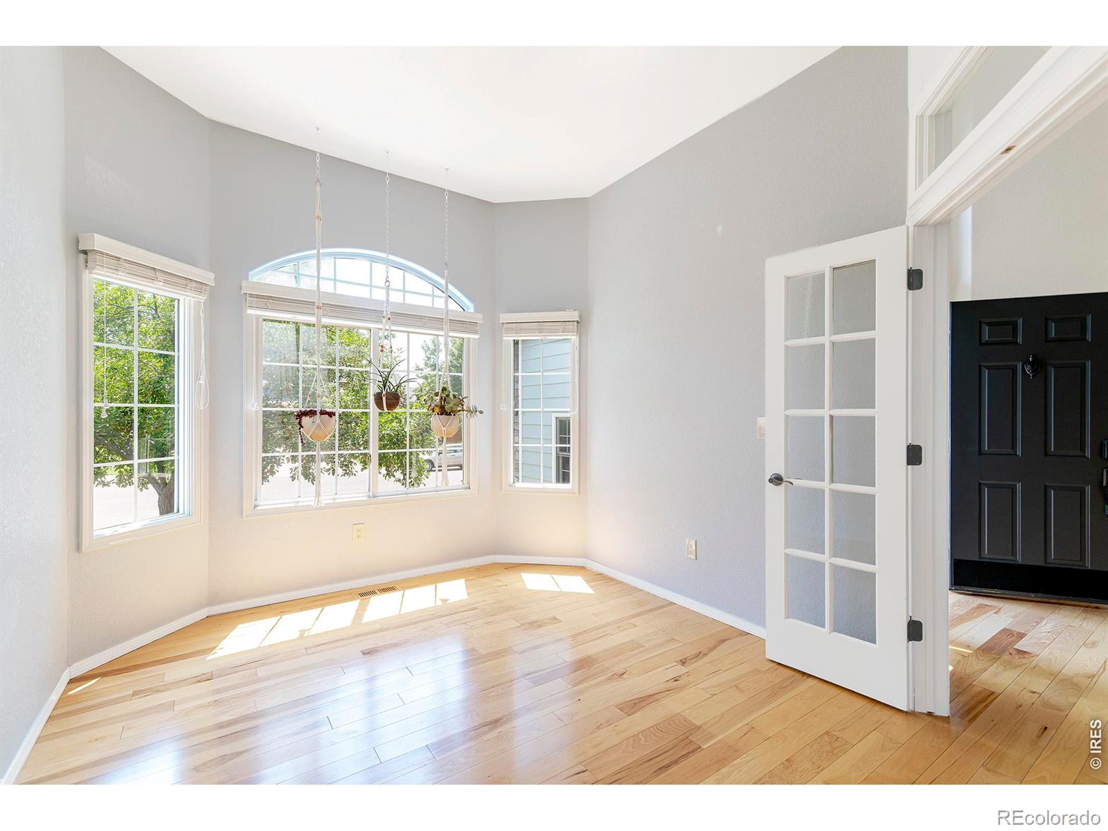 MLS Image #14 for 1035  sage street,broomfield, Colorado