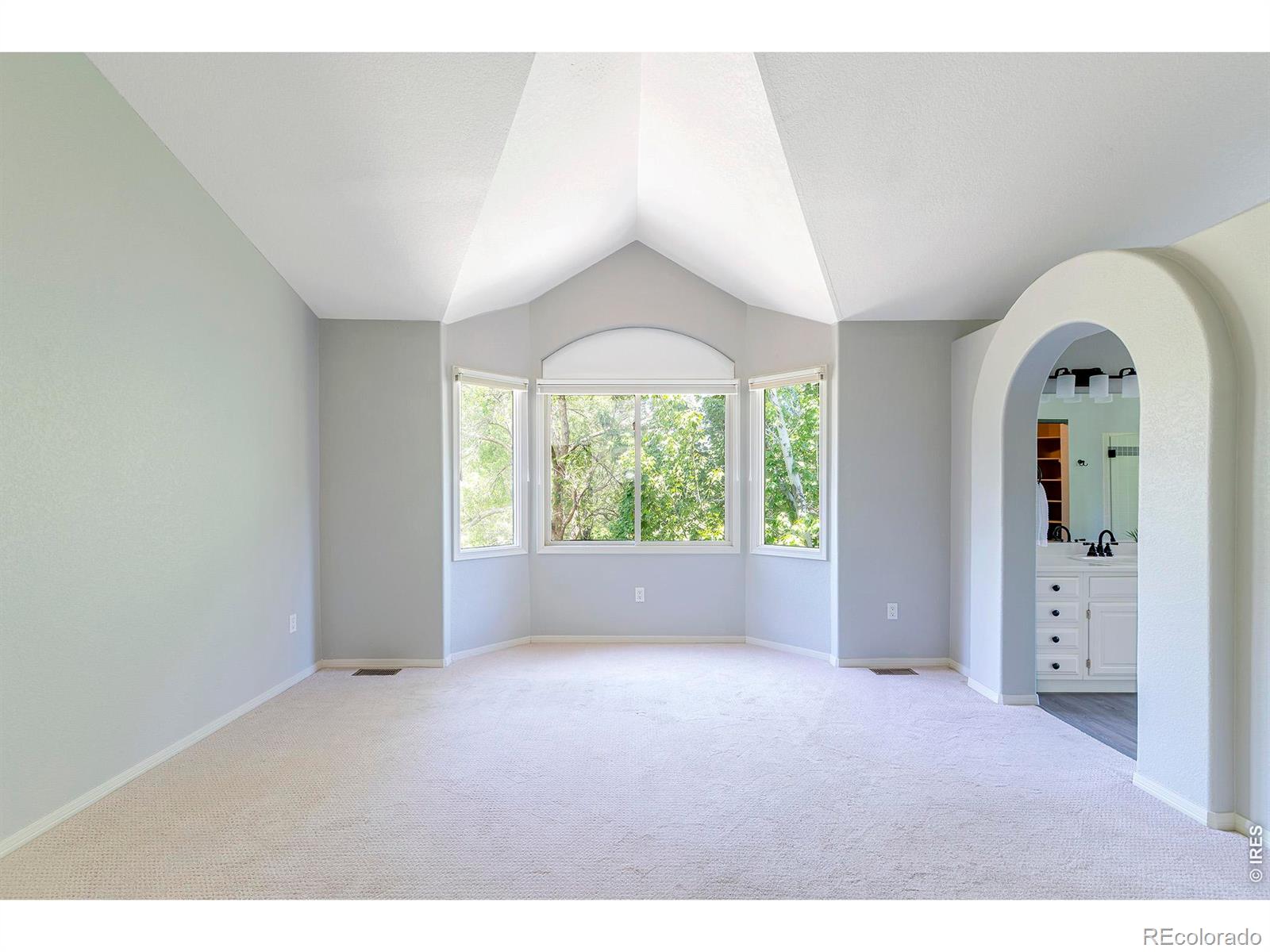 MLS Image #22 for 1035  sage street,broomfield, Colorado
