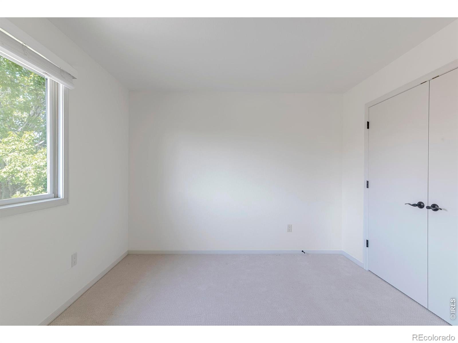MLS Image #29 for 1035  sage street,broomfield, Colorado