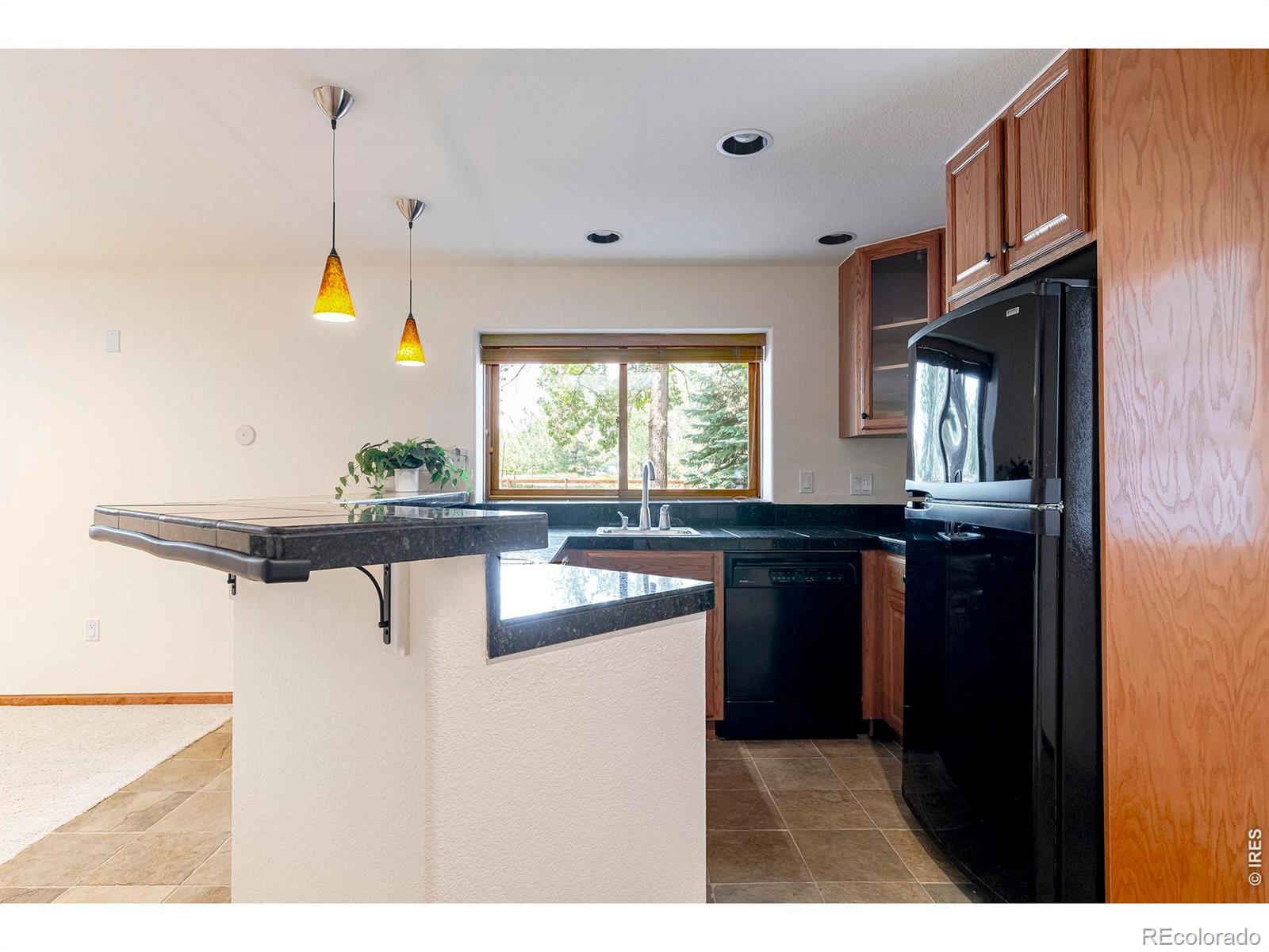 MLS Image #35 for 1035  sage street,broomfield, Colorado