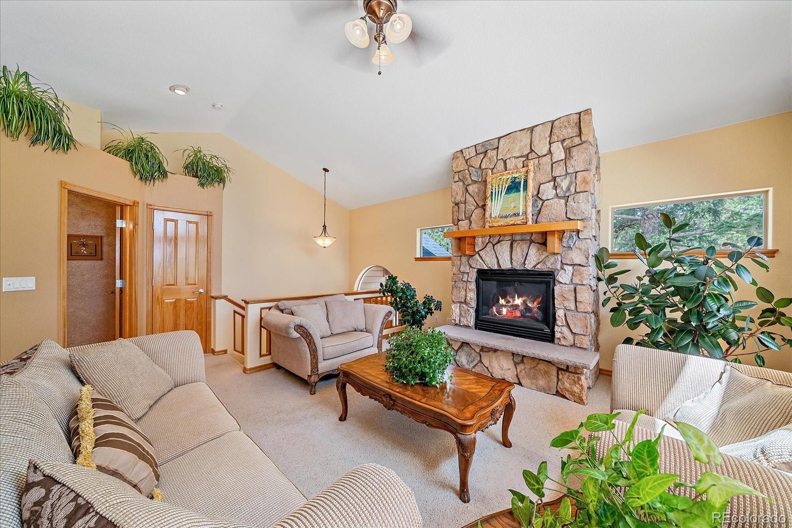 MLS Image #10 for 51  cedar lane,bailey, Colorado