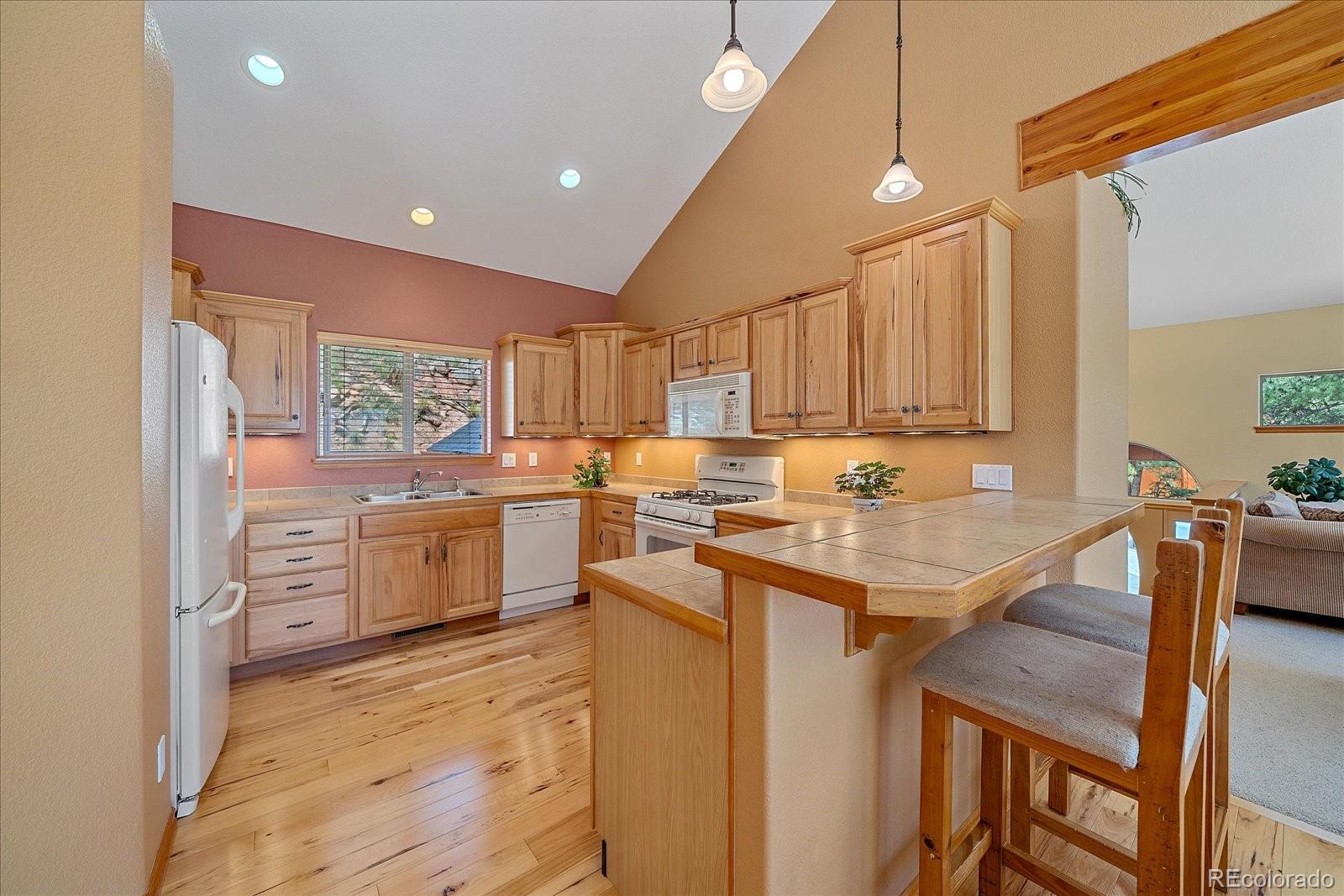 MLS Image #15 for 51  cedar lane,bailey, Colorado