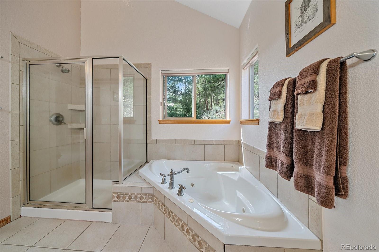 MLS Image #21 for 51  cedar lane,bailey, Colorado