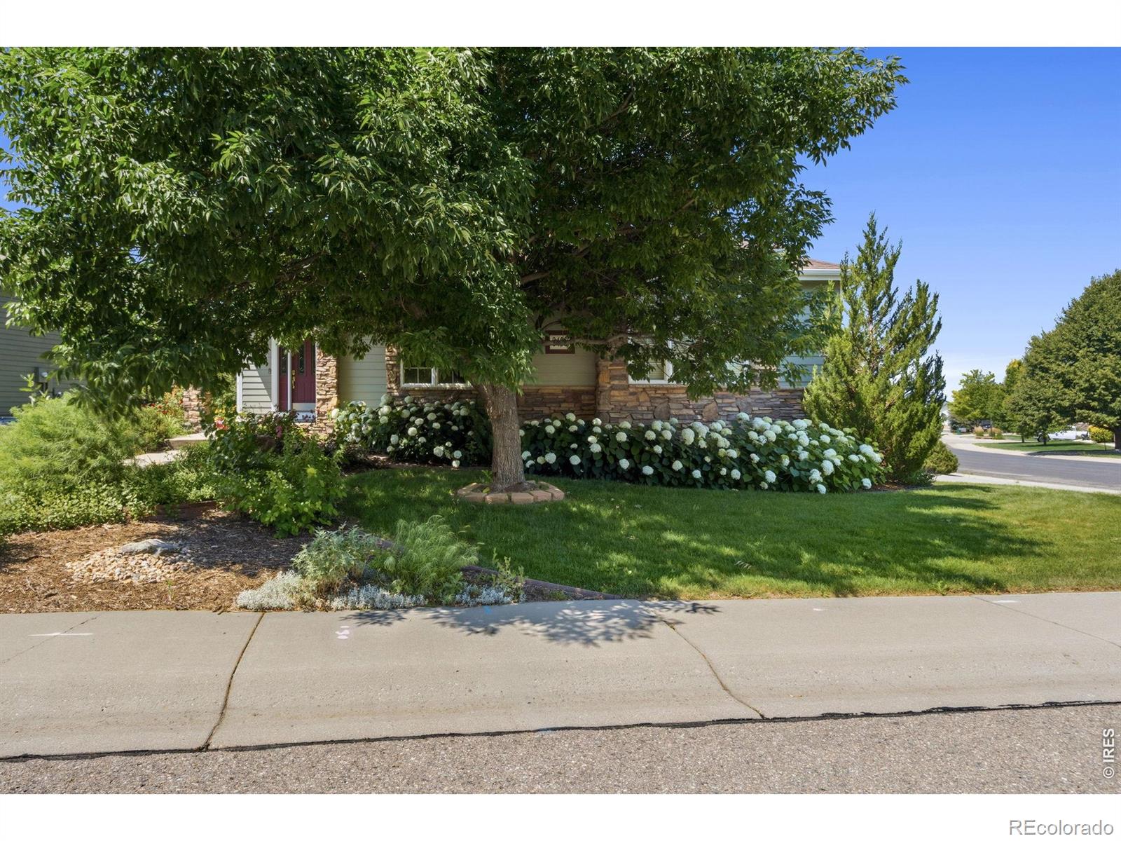 MLS Image #3 for 8493  castaway drive,windsor, Colorado