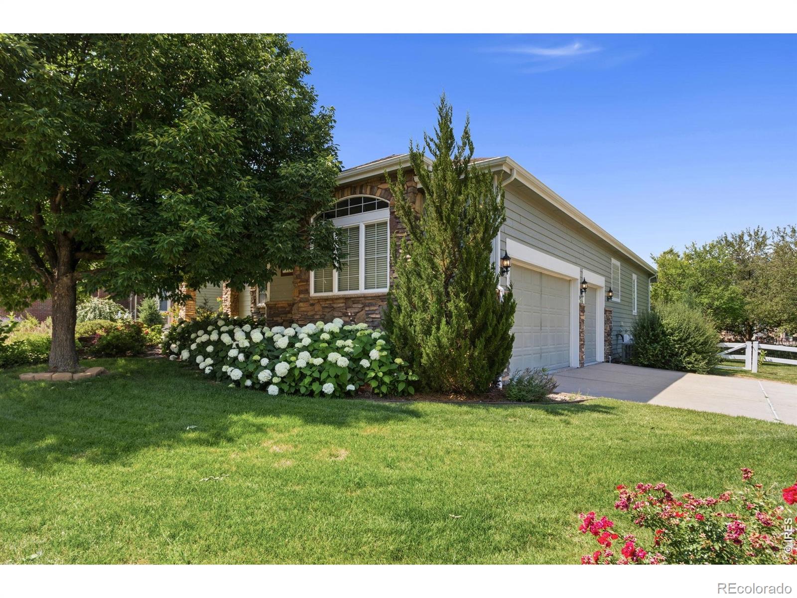 MLS Image #4 for 8493  castaway drive,windsor, Colorado