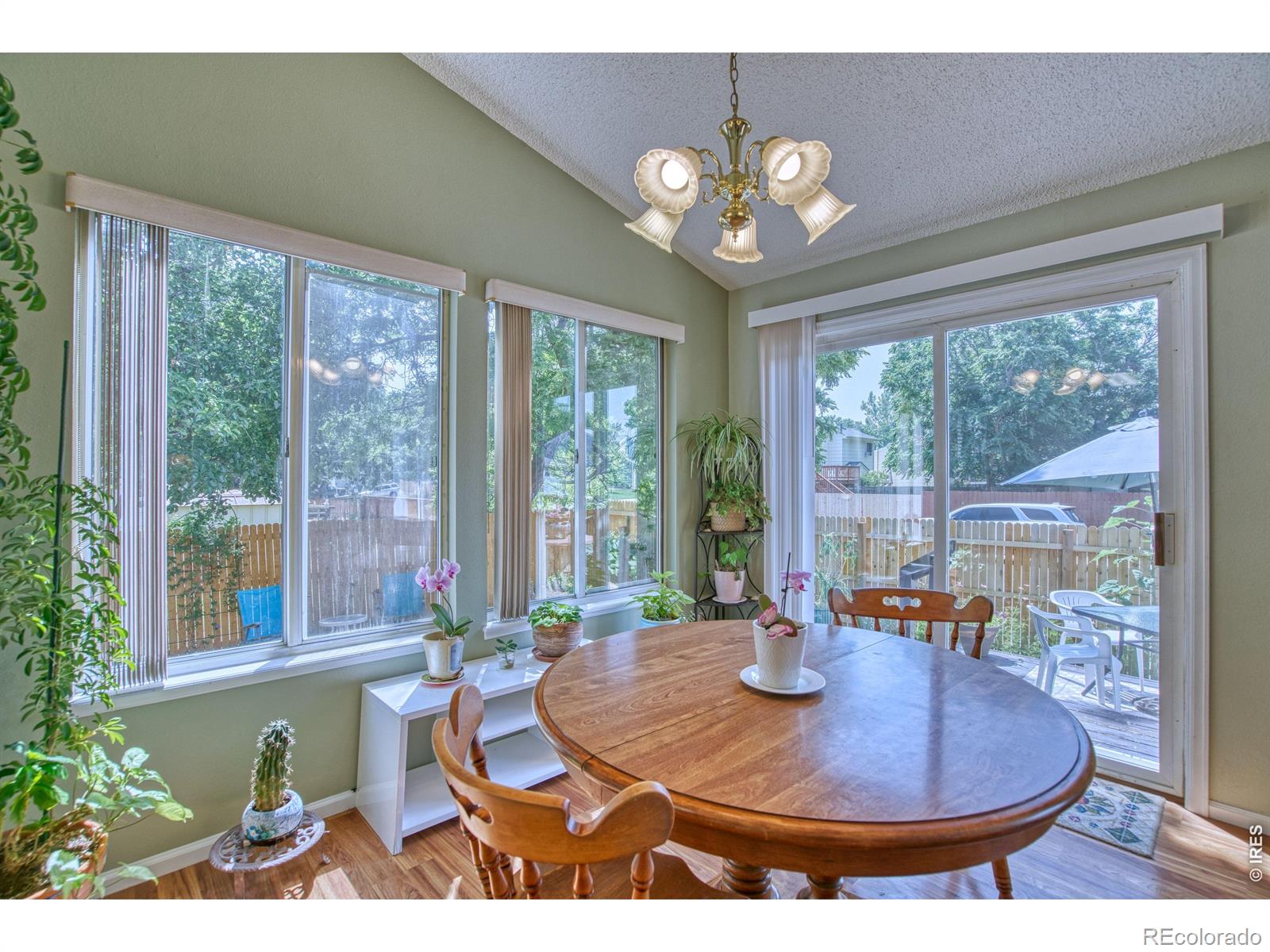 MLS Image #6 for 1828  rice street,longmont, Colorado