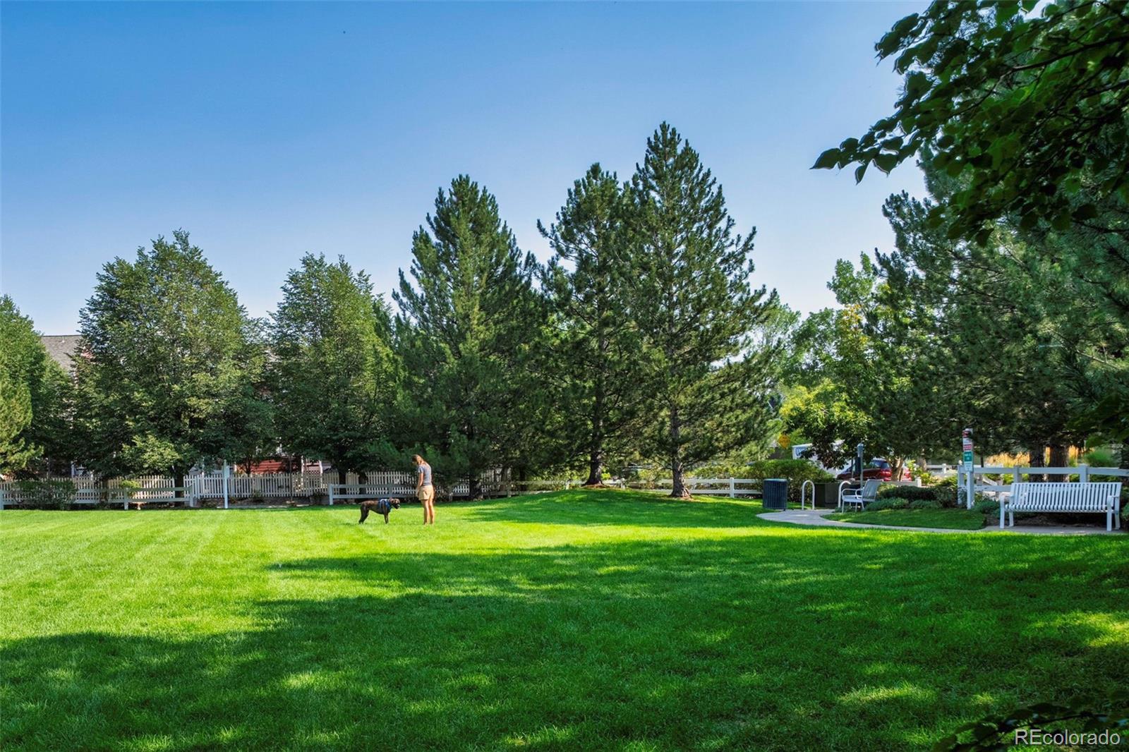 MLS Image #41 for 811  snowberry street,longmont, Colorado